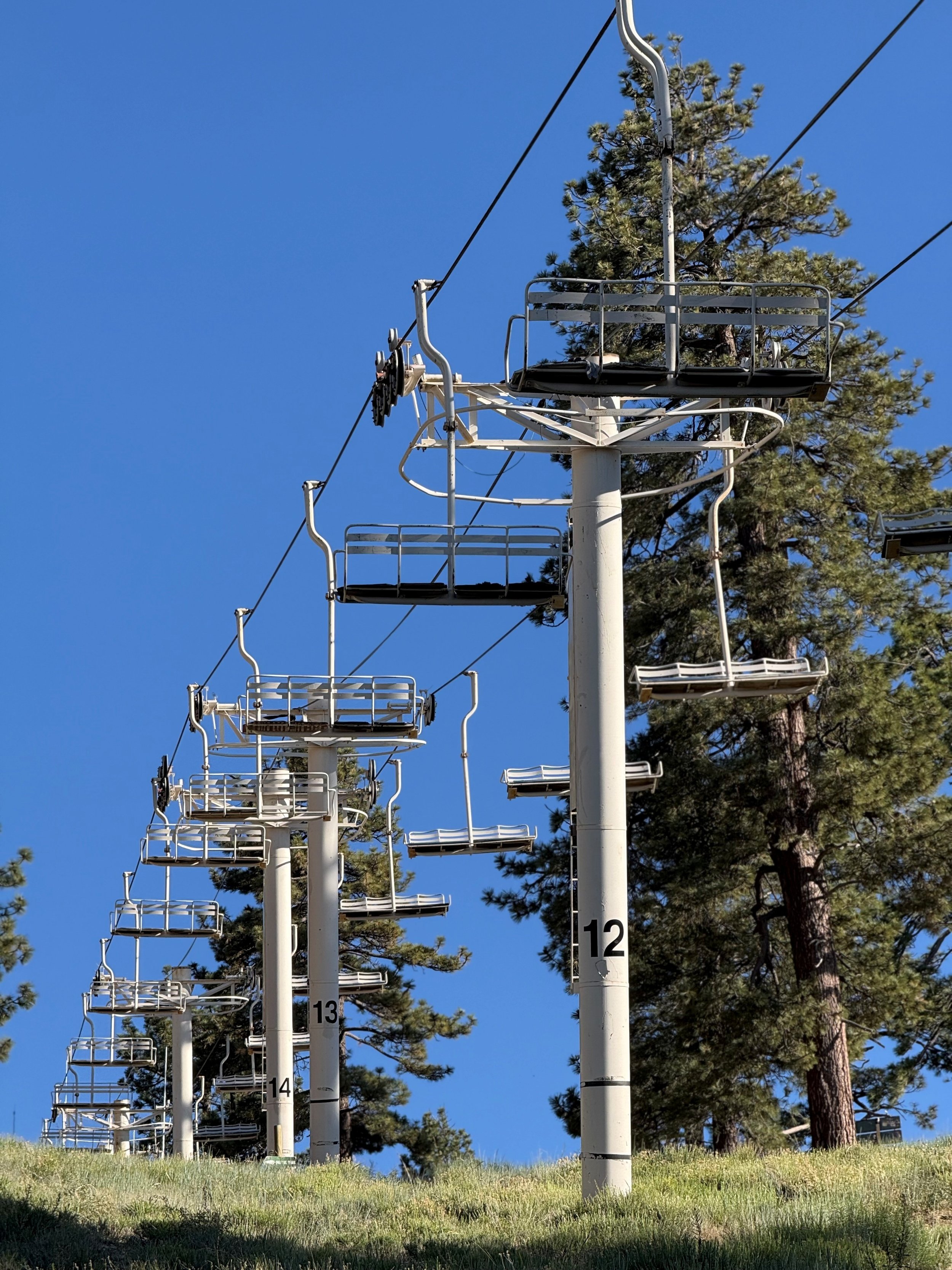 Ski lift chairs hang motionless above a grassy hill with tall pine trees against a clear blue sky. The scene is peaceful and expansive.