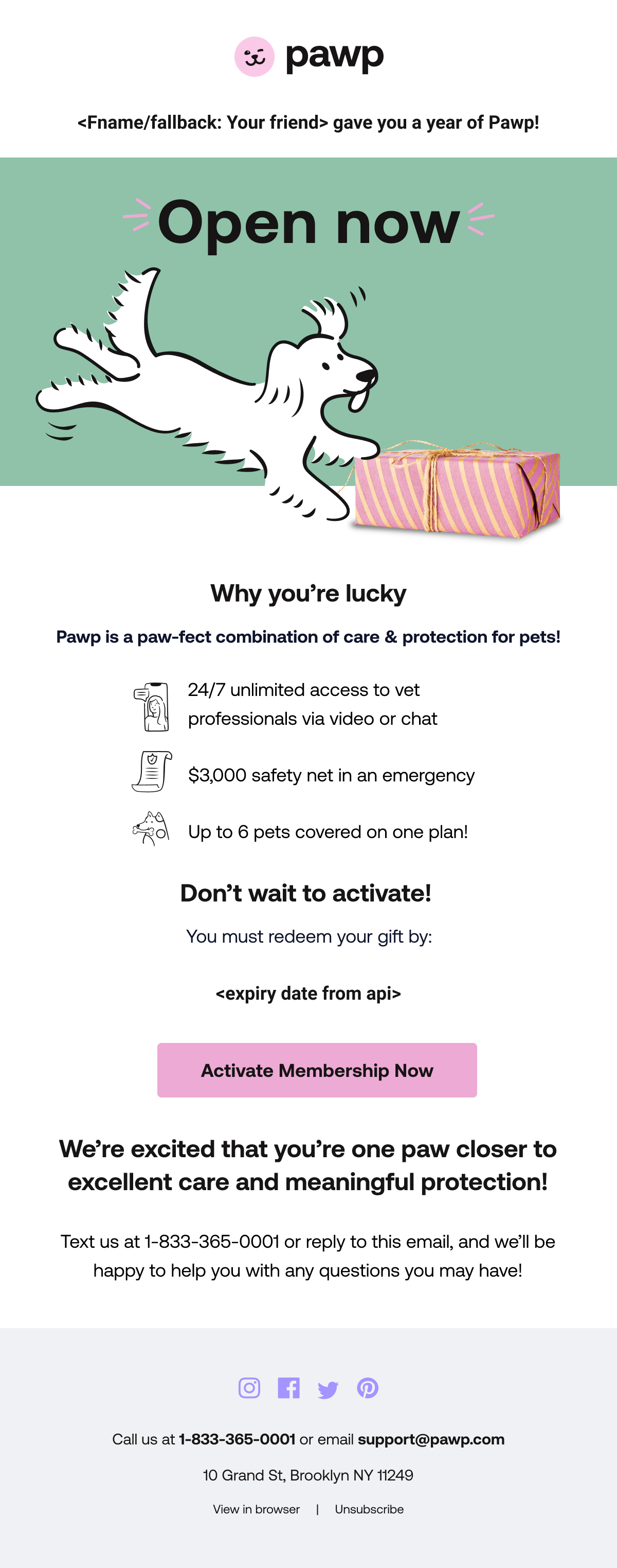 You've Received a Gift - Transactional Email-1.png