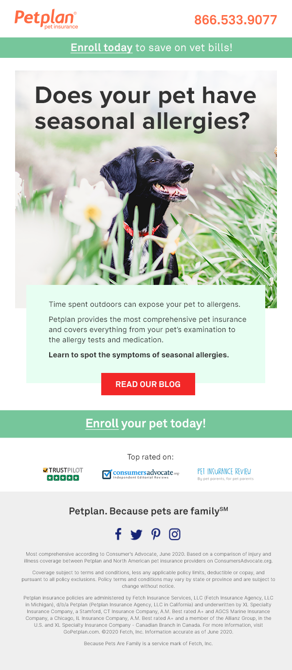 0528_Allergies_Email_NonPromo.png