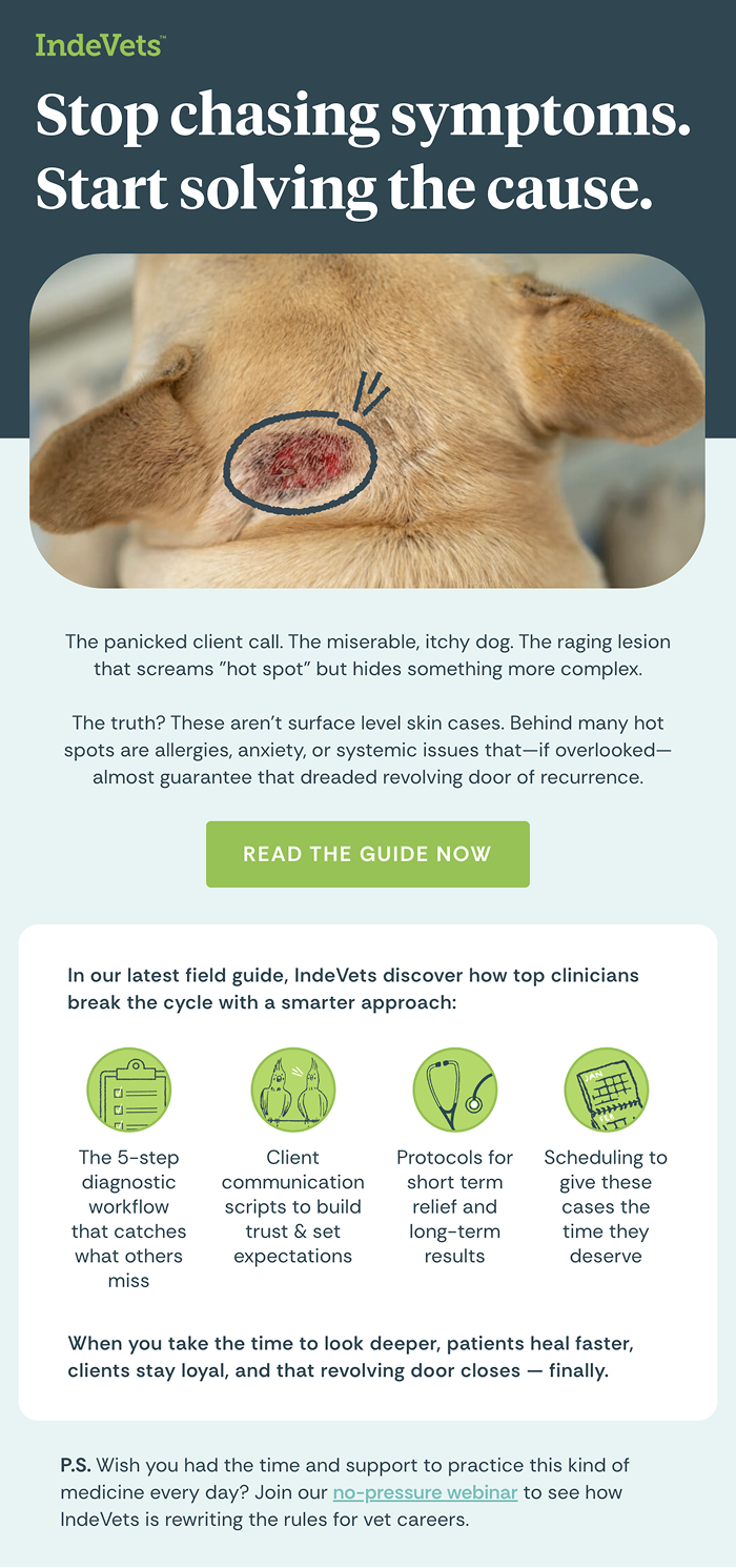 Hot spots newsletter.png