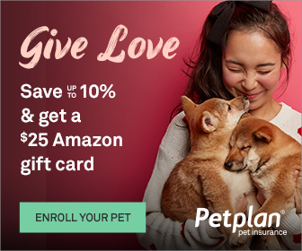 GiveLove_Banners_336x280.png