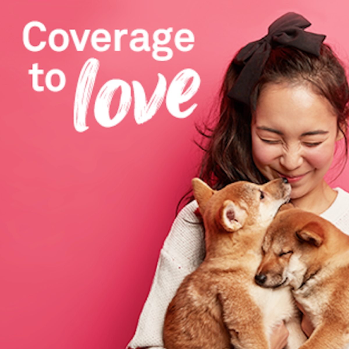 Petplan Give Love Campaign