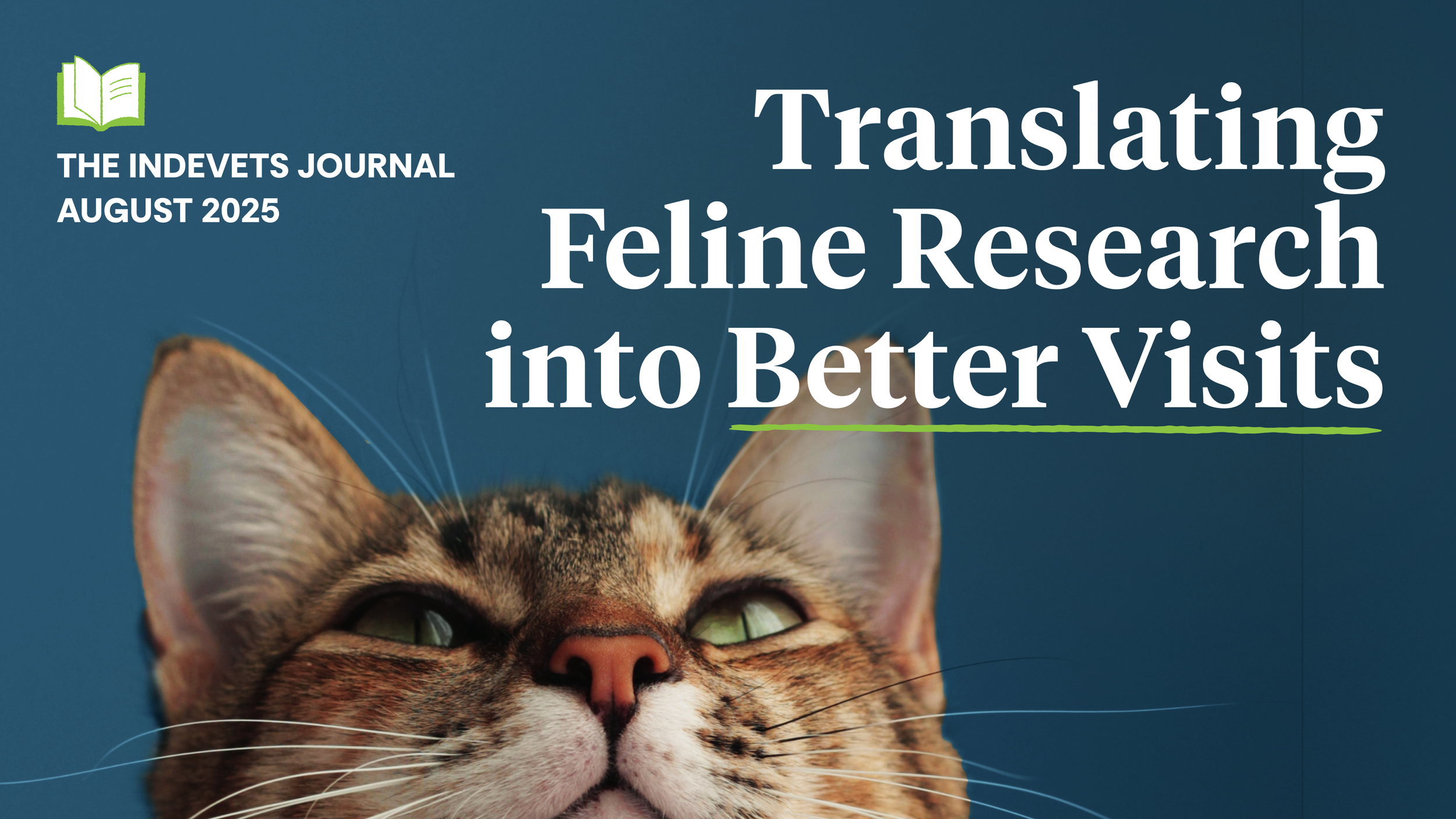 Feline Research - Newsletter Hero@2x.png