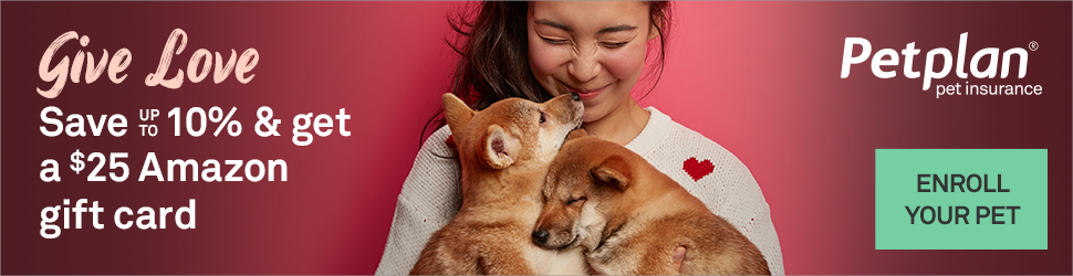 GiveLove_Banners_970x250.png