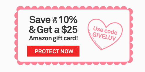 1025Amazon.gif