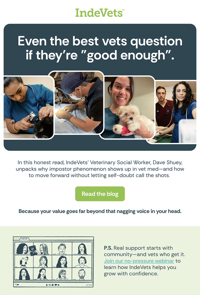 Not Alone Newsletter.png