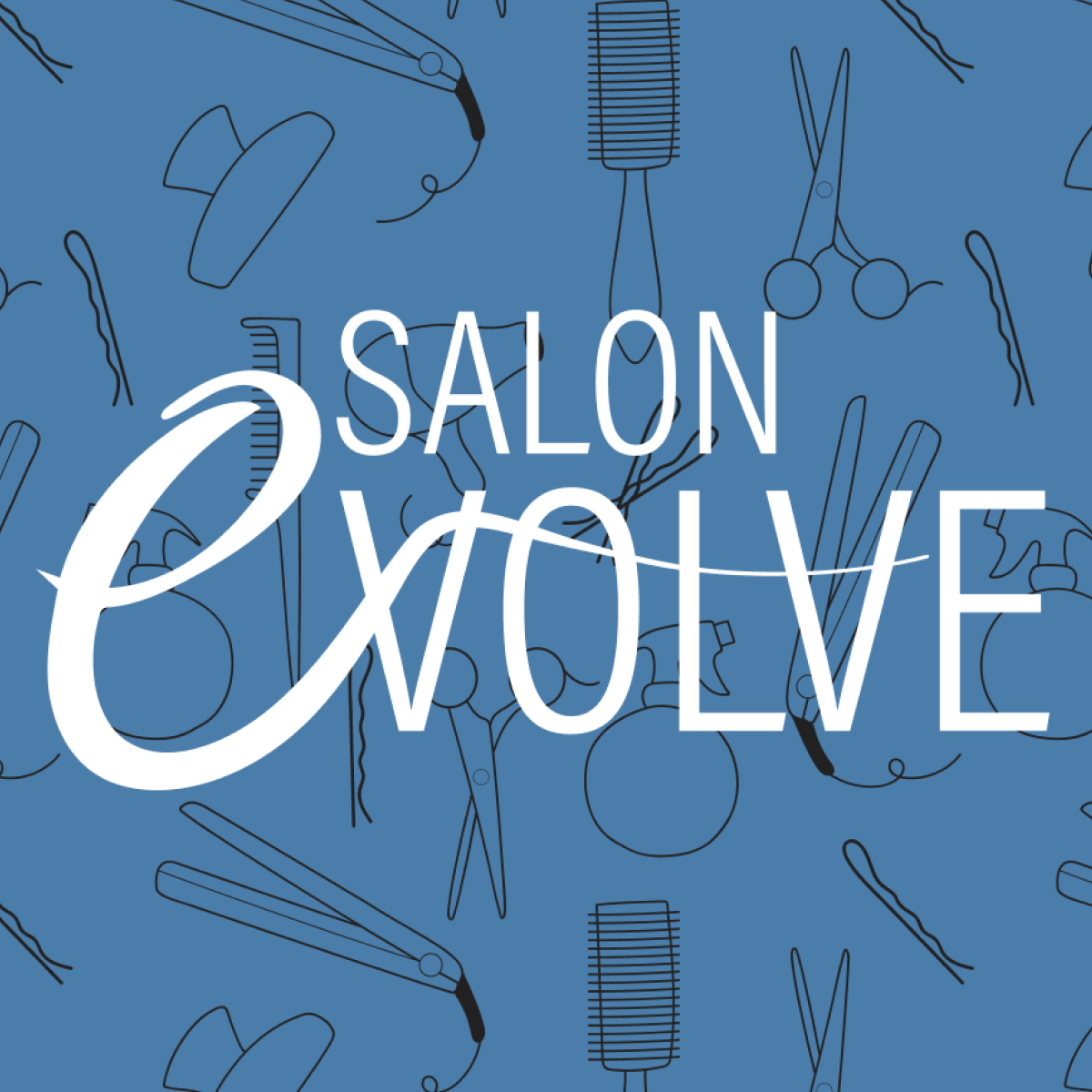Salon Evolve Assets