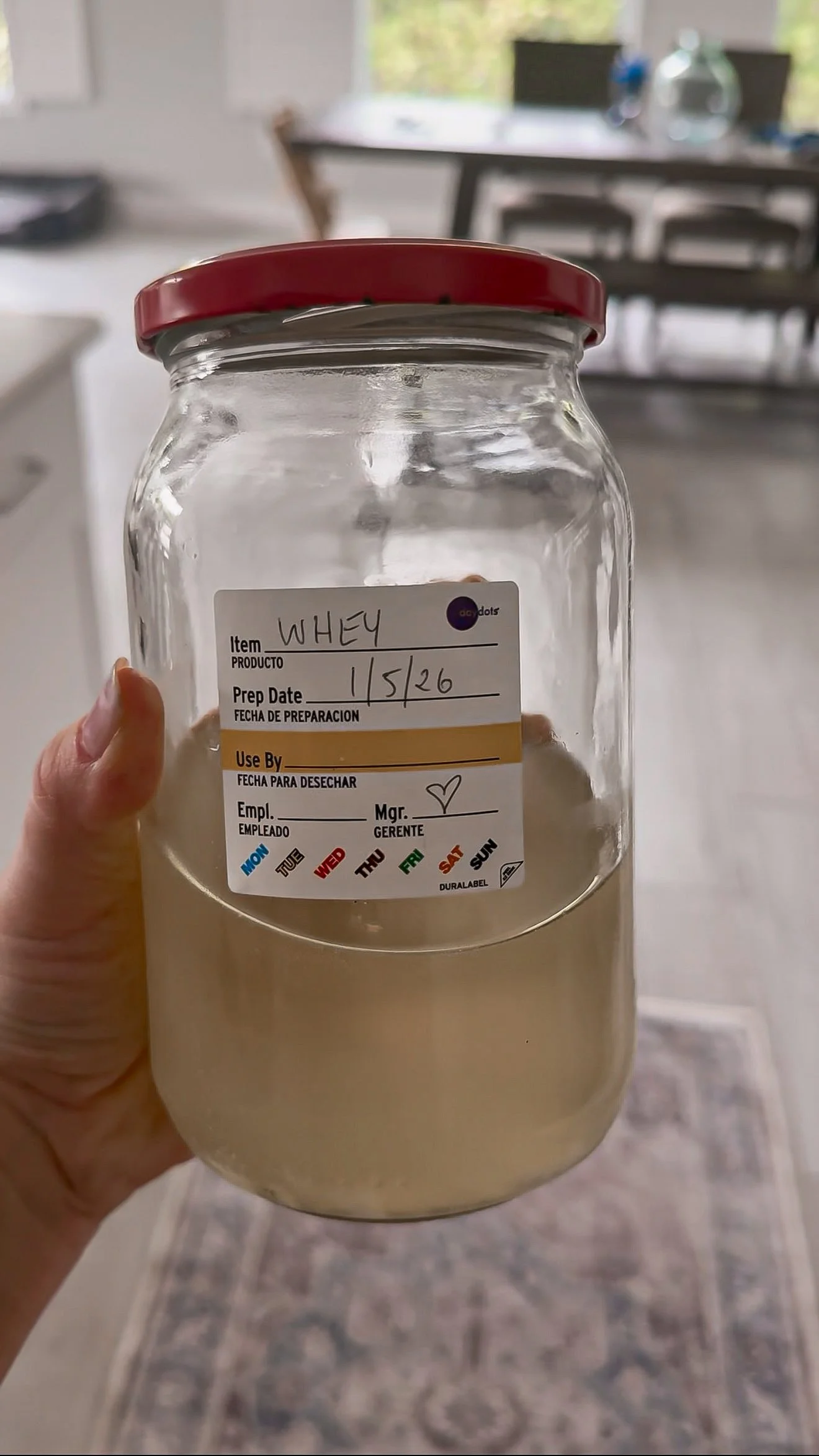 Homemade Whey Recipe