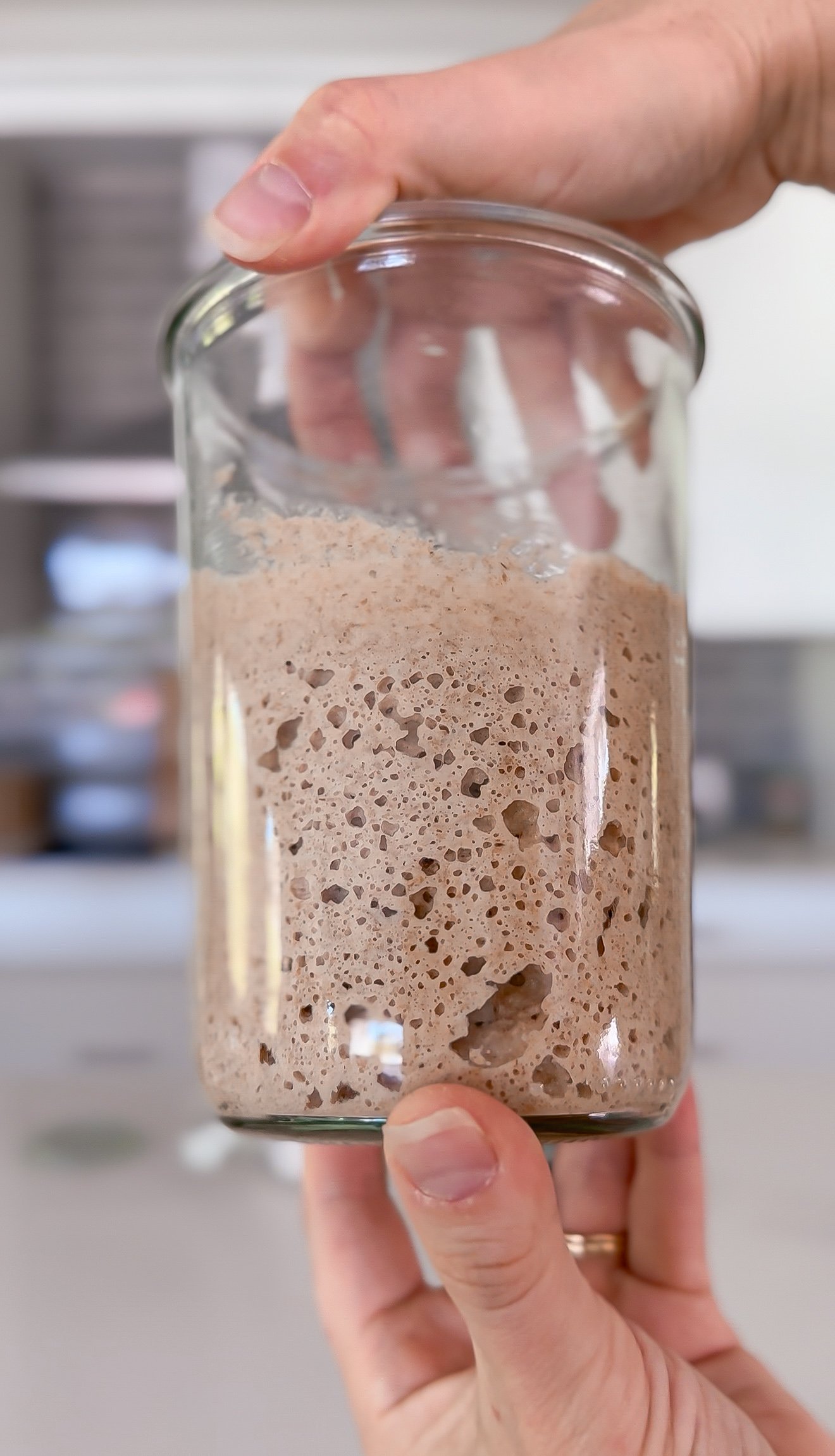 Freshly Milled Sourdough Starter From Scratch