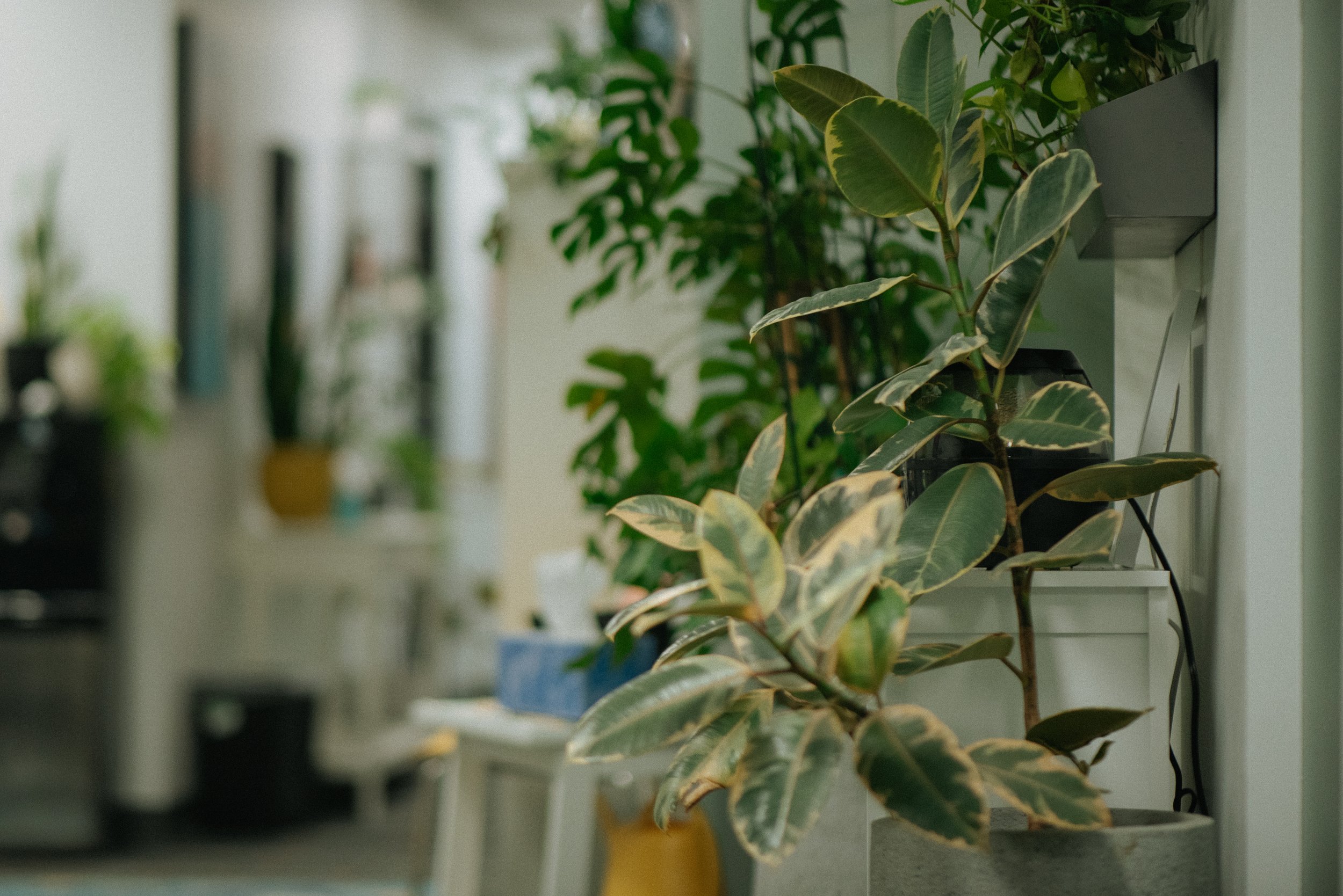 ADHD-PTSD-Assessments-Calgary-Alberta