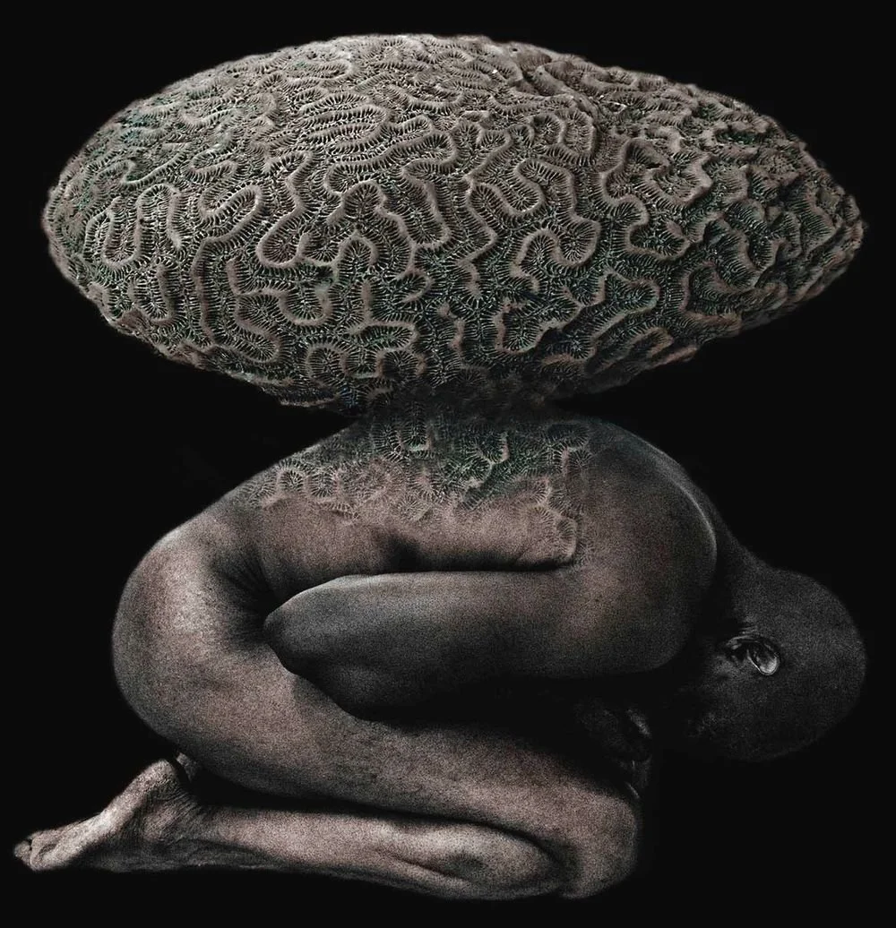 René Peña, Stone, 2020 (Cuba)