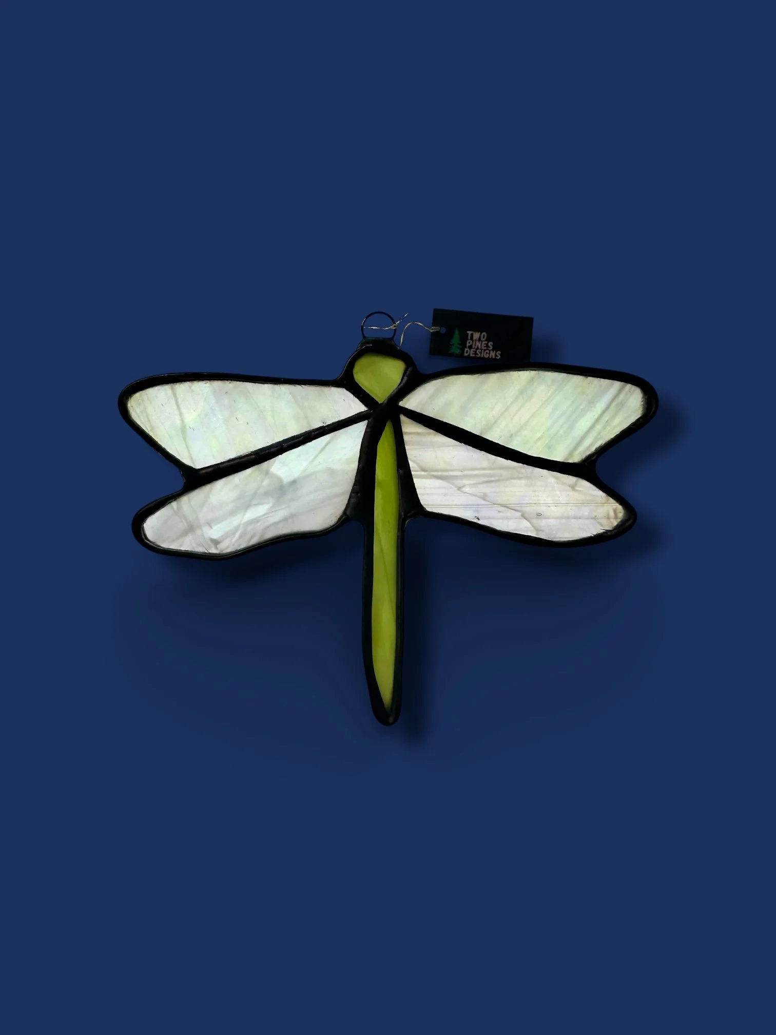 Dragon Fly