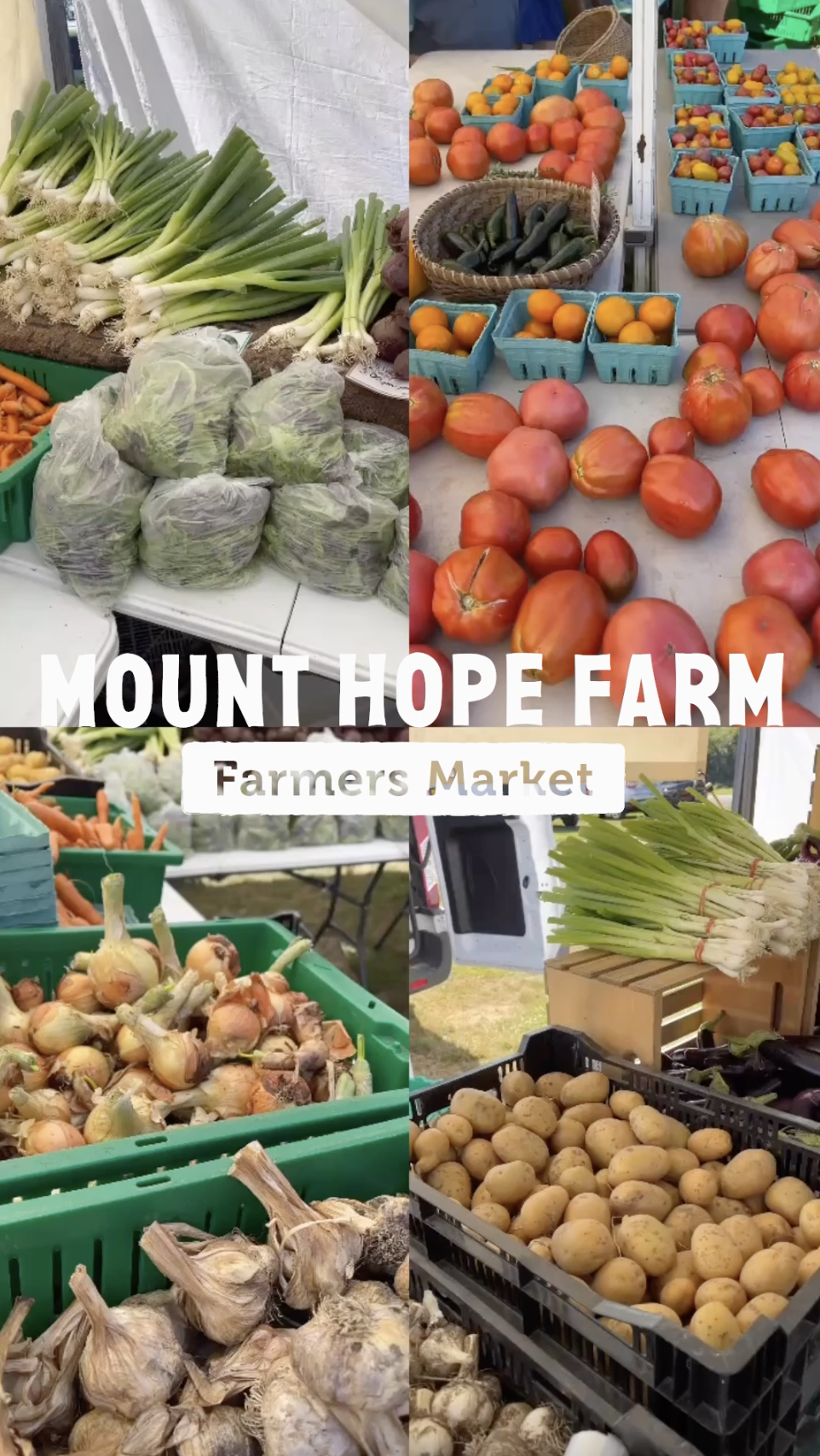 Mount Hope Farm