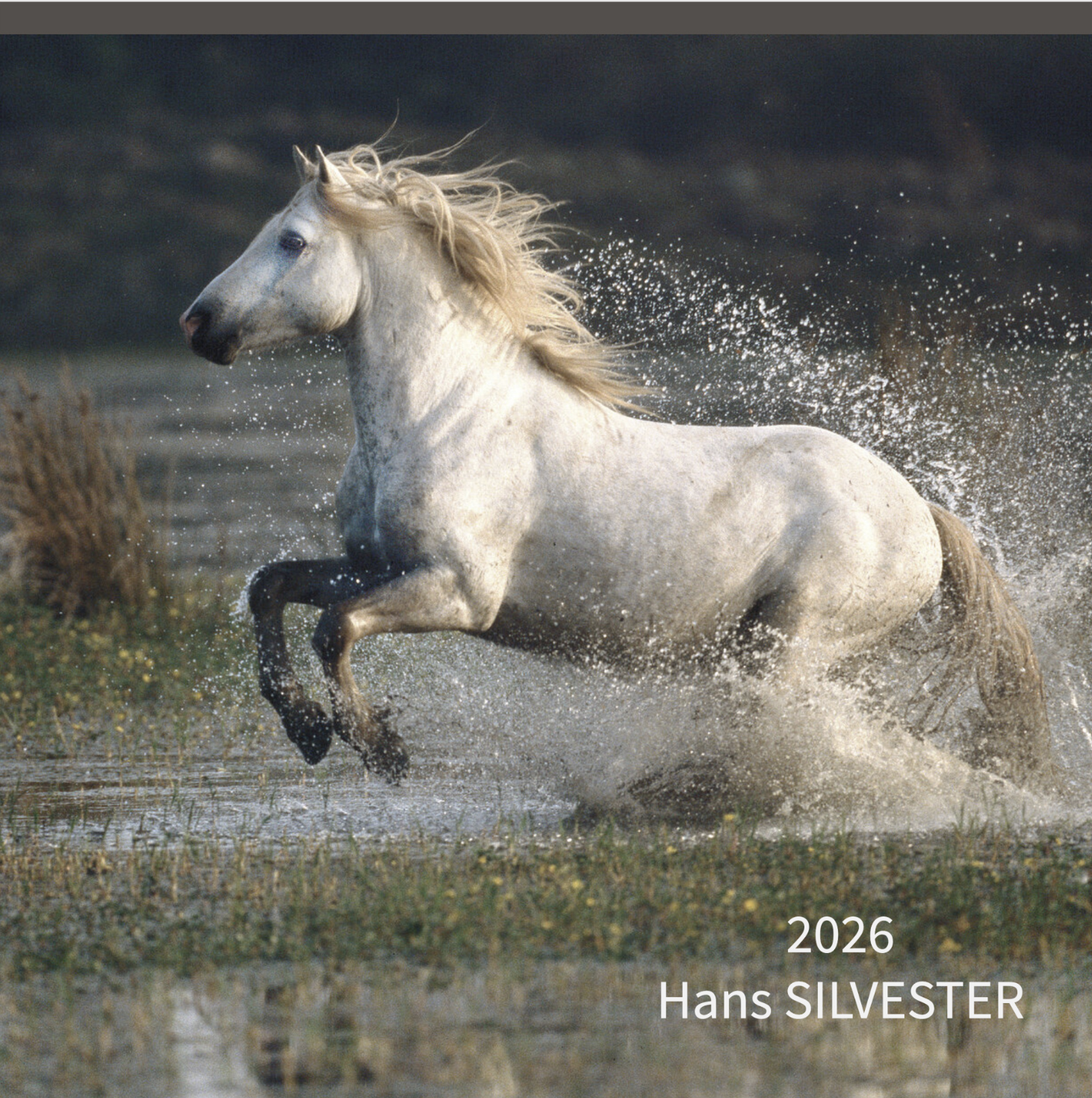 Capture d’écran 2025-12-11 à 11.08.39.png