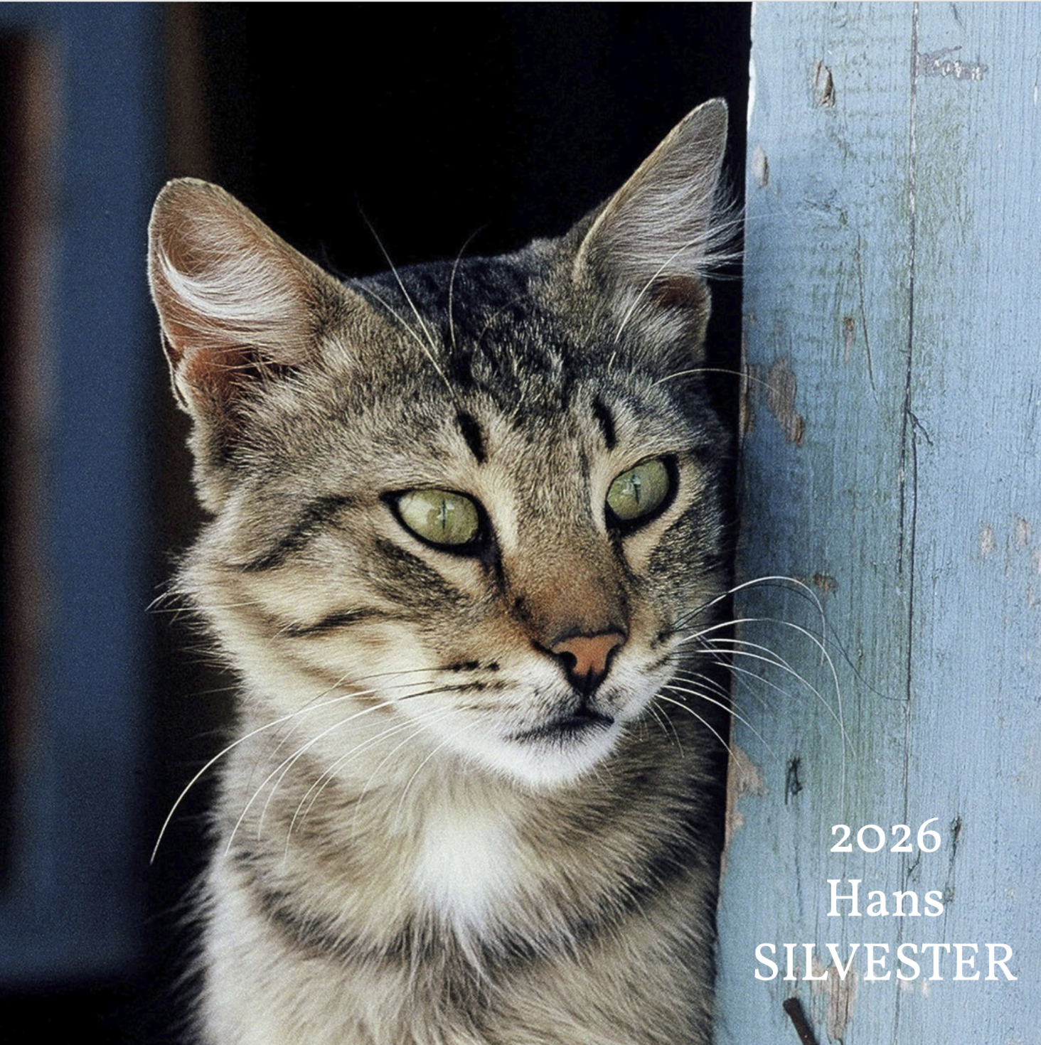 Capture d’écran 2025-12-11 à 11.07.53.png