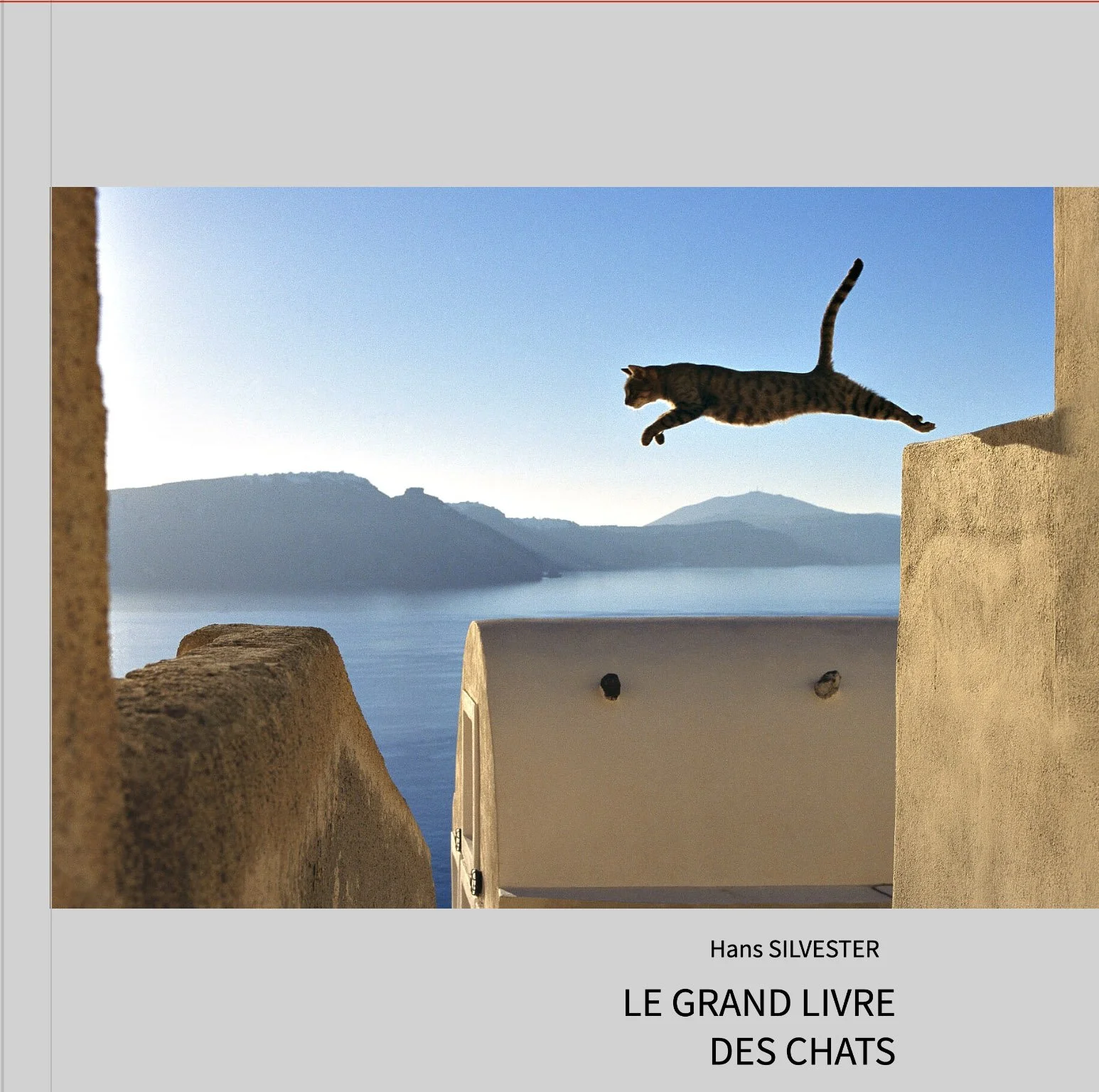 LE GRAND LIVRE DES CHATS