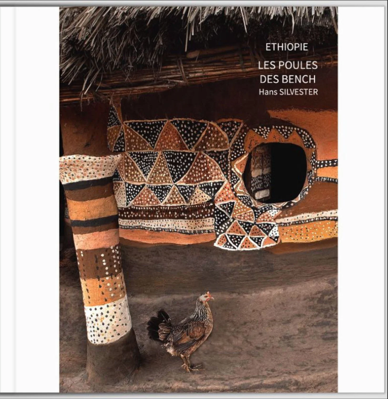 Les poules des Bench