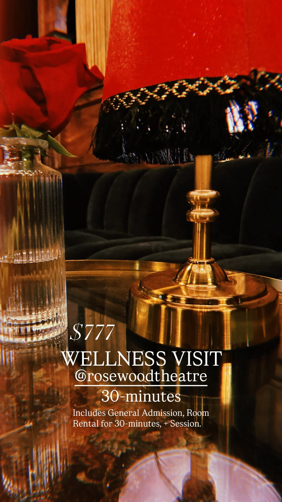 Wellness Visit [30 minutes] -- Rosewood Theatre