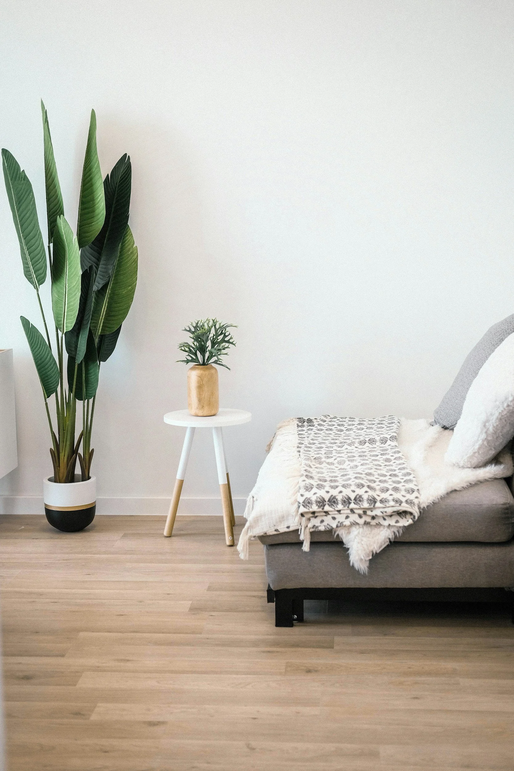 Minimalist living room with a large green plant in a white and black pot, a small white side table with a potted plant, and a grey sofa with decorative pillows and a patterned throw blanket on light wood flooring.