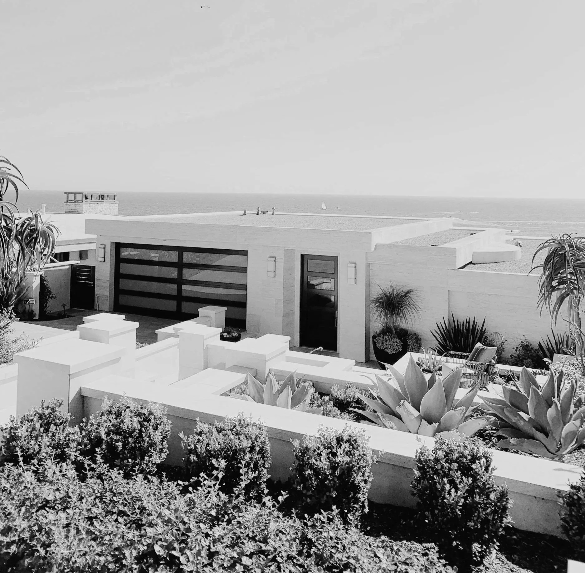 Modern house with ocean view, plants, and shrubs in black and white.