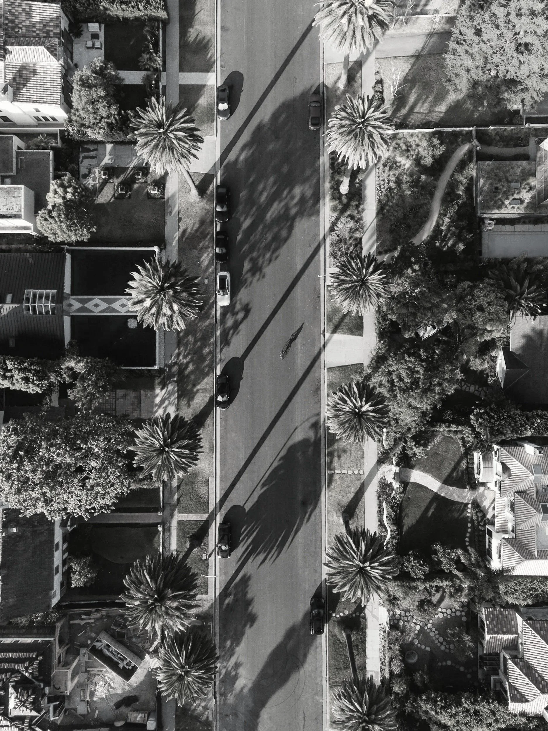 An aerial view of a street with parked cars, palm trees, and residential buildings in black and white.