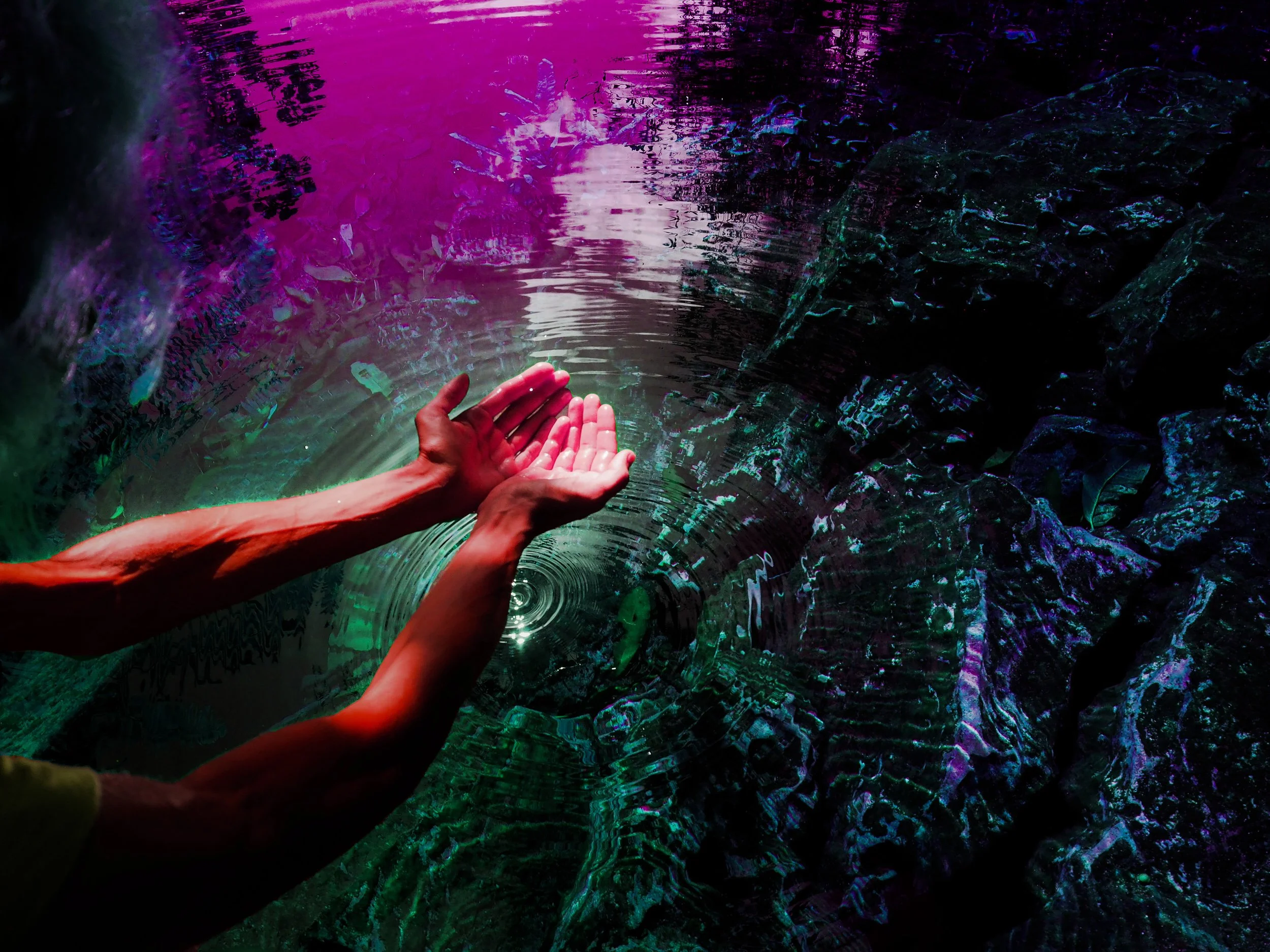 Transformar el caos en conciencia