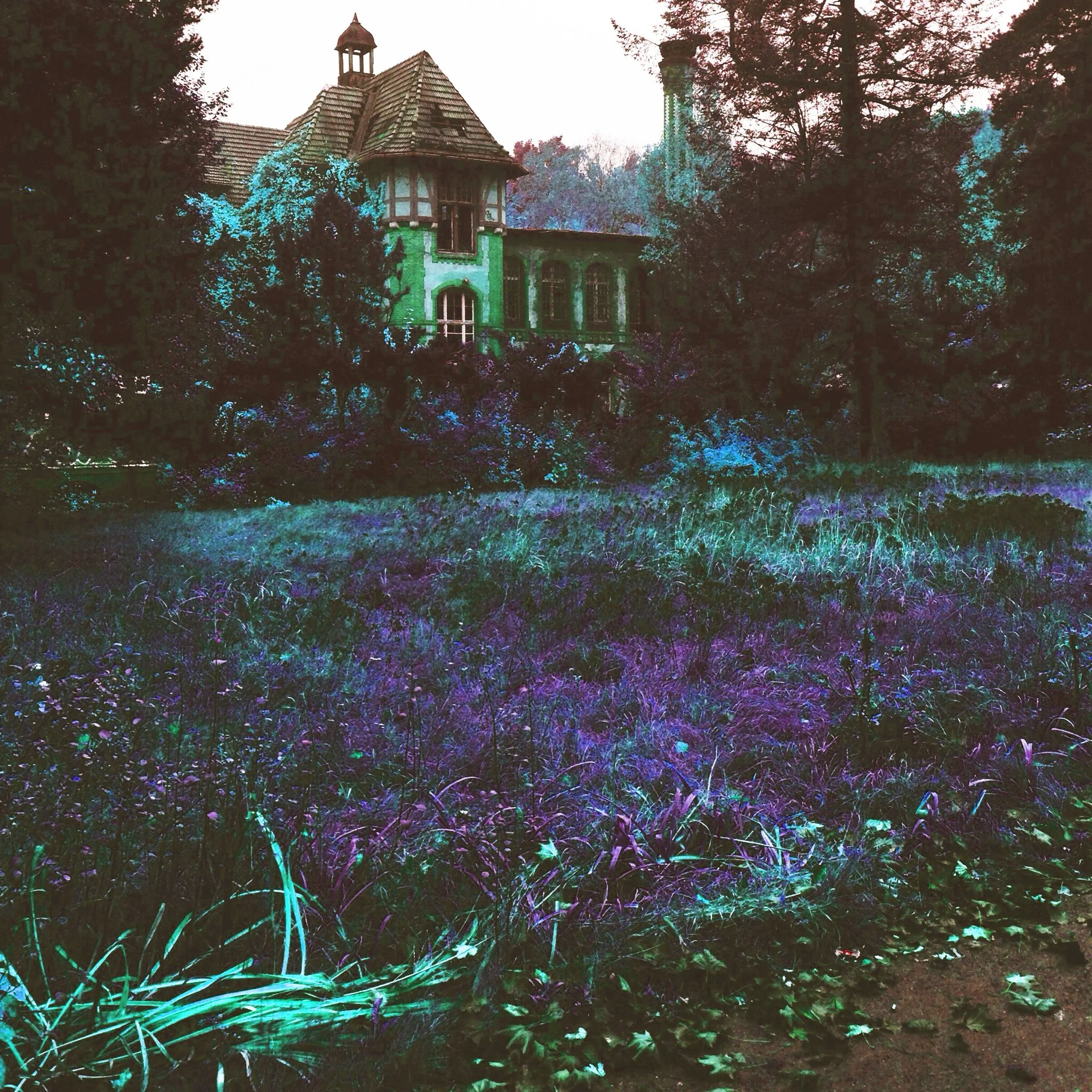 No estás perdida: transiciones vitales y cambio de ciclo