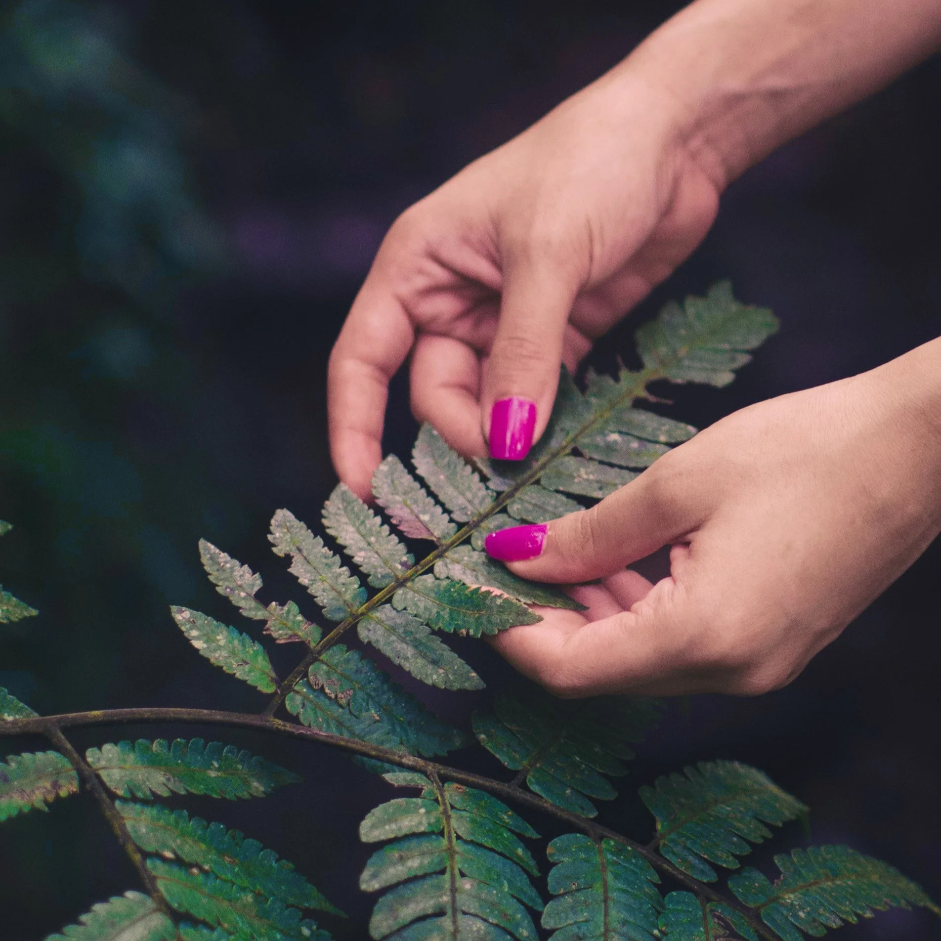 Manos sosteniendo una hoja de helecho en un entorno natural, con uñas pintadas de rosa brillante.