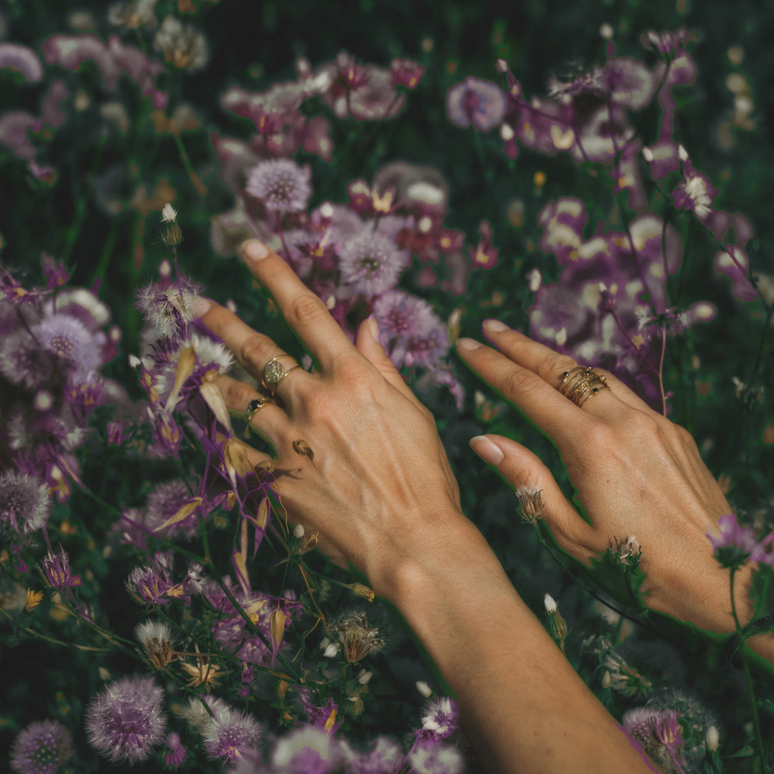 Compatibilidad Álmica