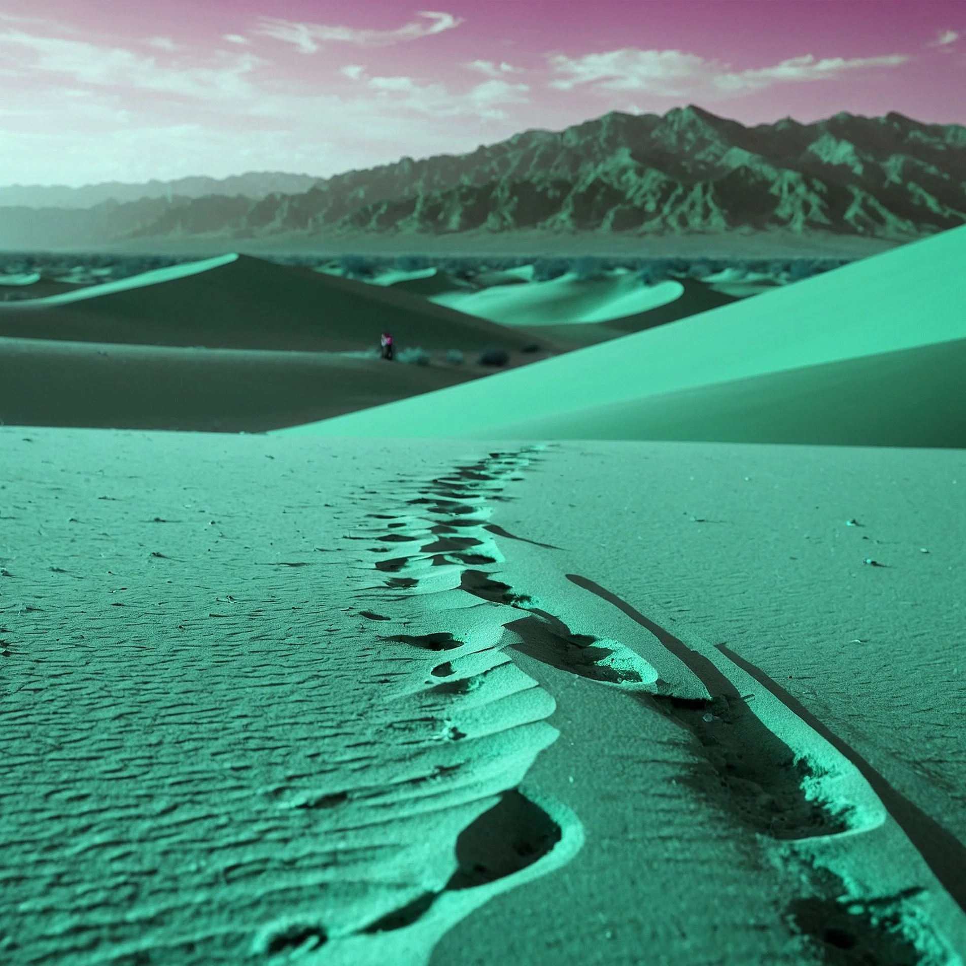 Huellas en la arena en un desierto con dunas y una montaña en el fondo, bajo un cielo con nubes.