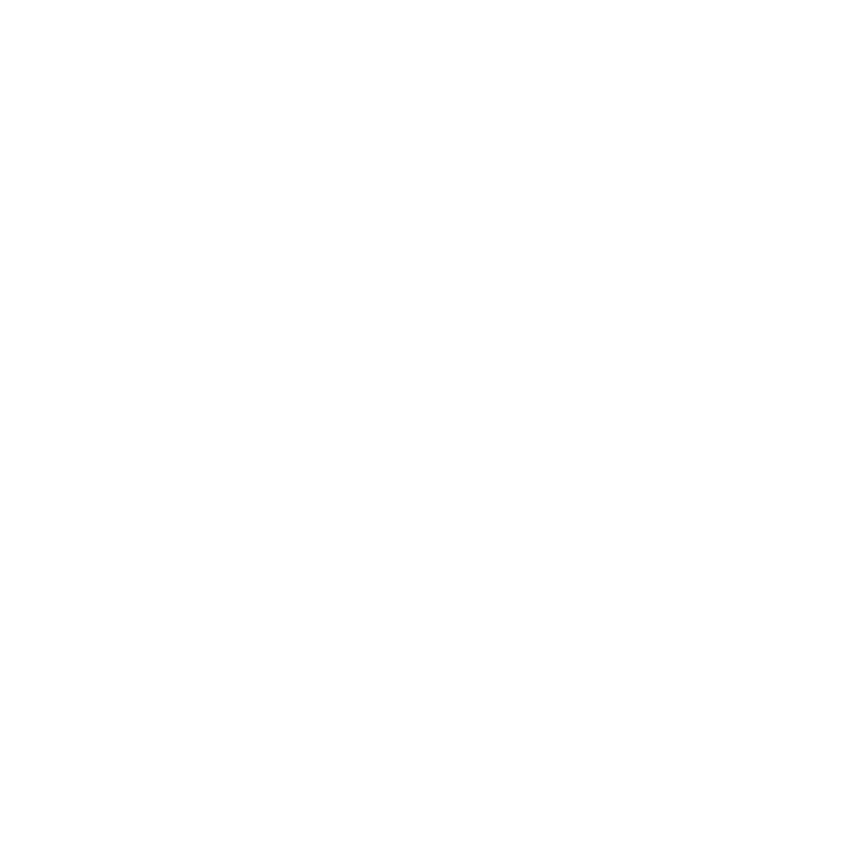 Fast Turnaround Icon