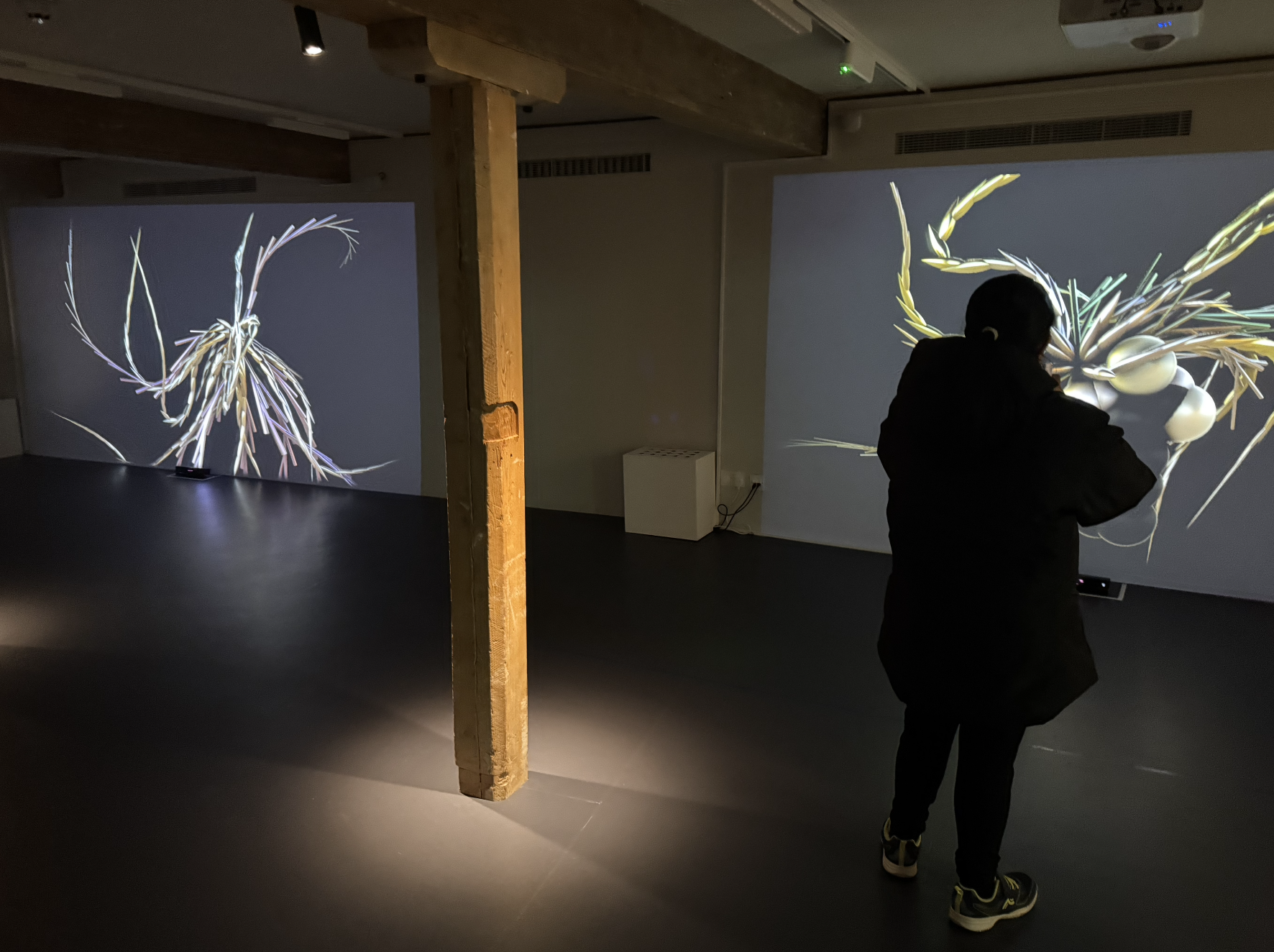 Person standing in a dark room viewing digital art projections of an abstract insect on the walls.