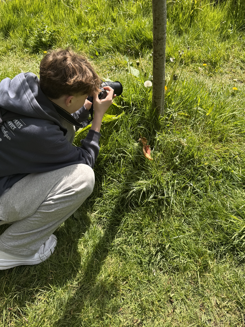 A person crouching in green grass, taking pictures of a small tree with a camera on a bright day.