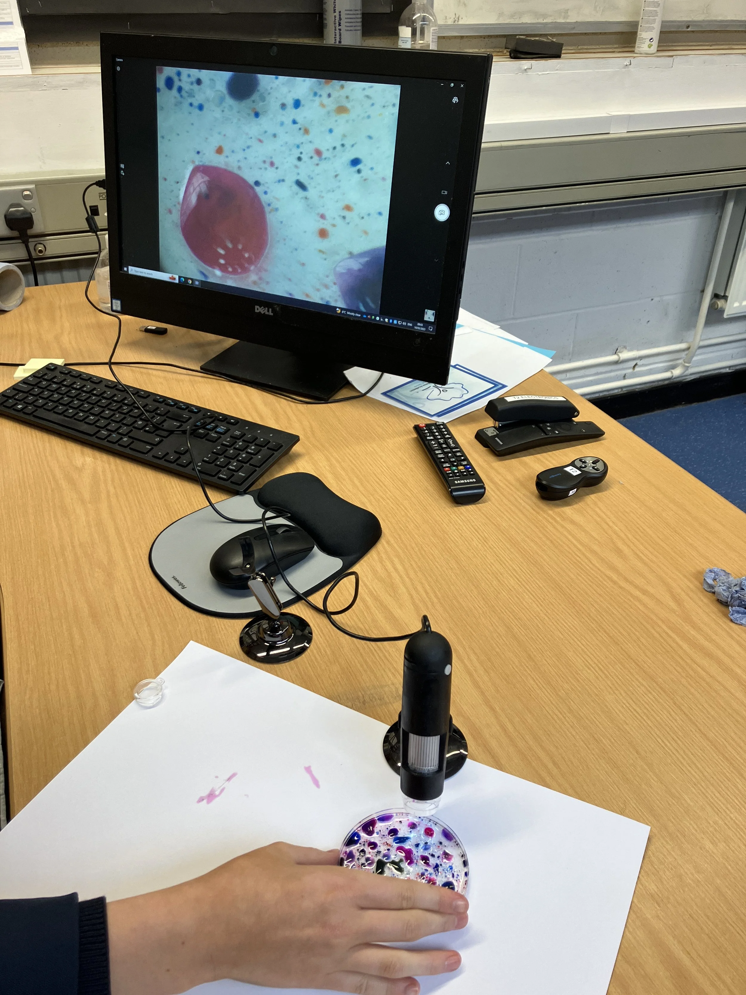 A person holding a petri dish with colorful liquid, with a microliter pipette attached above it, on a white sheet of paper on a wooden table in a science lab.