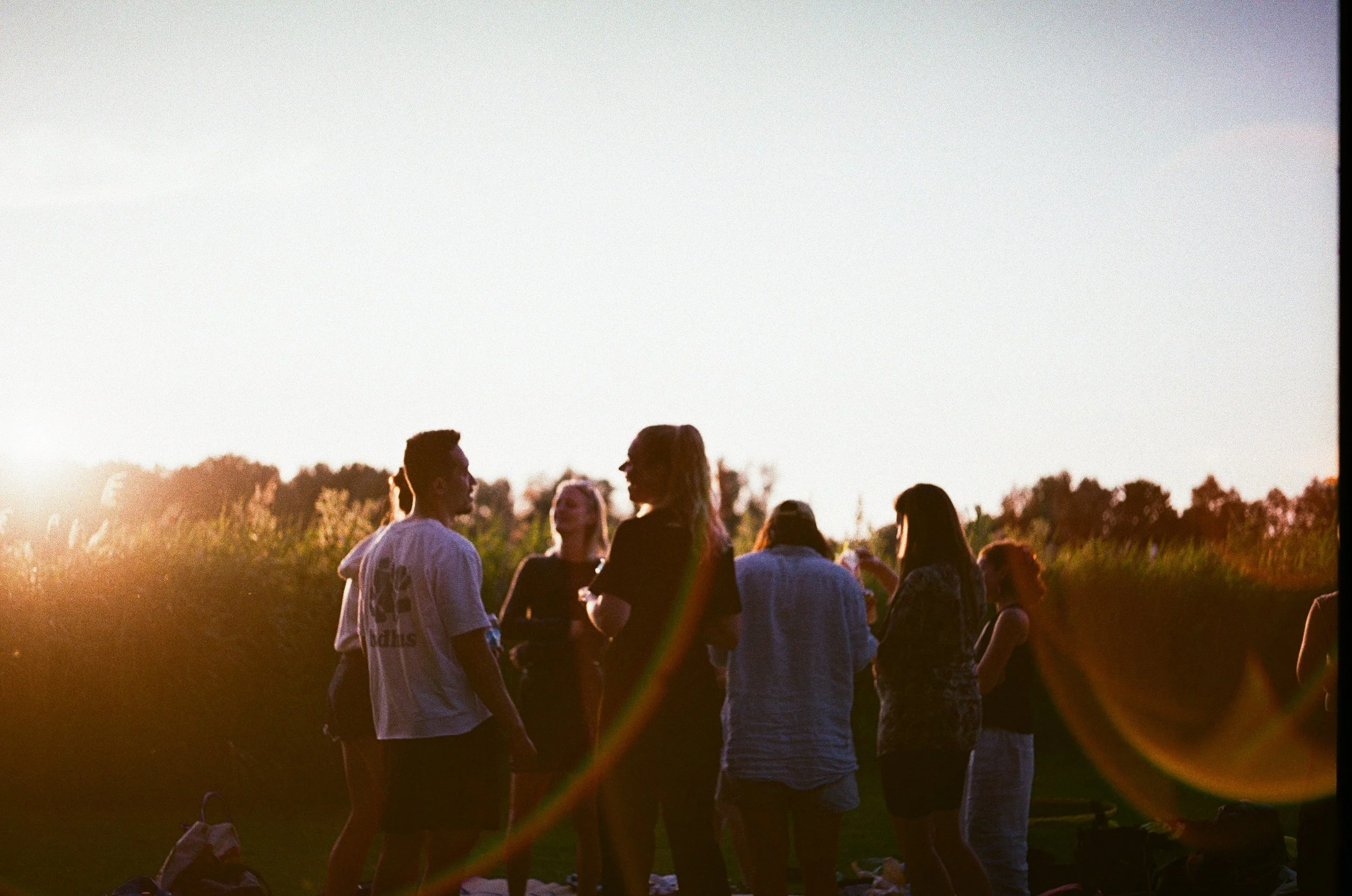 "Community" 
De Nieuwe Meer, Summer 2025
35mm film