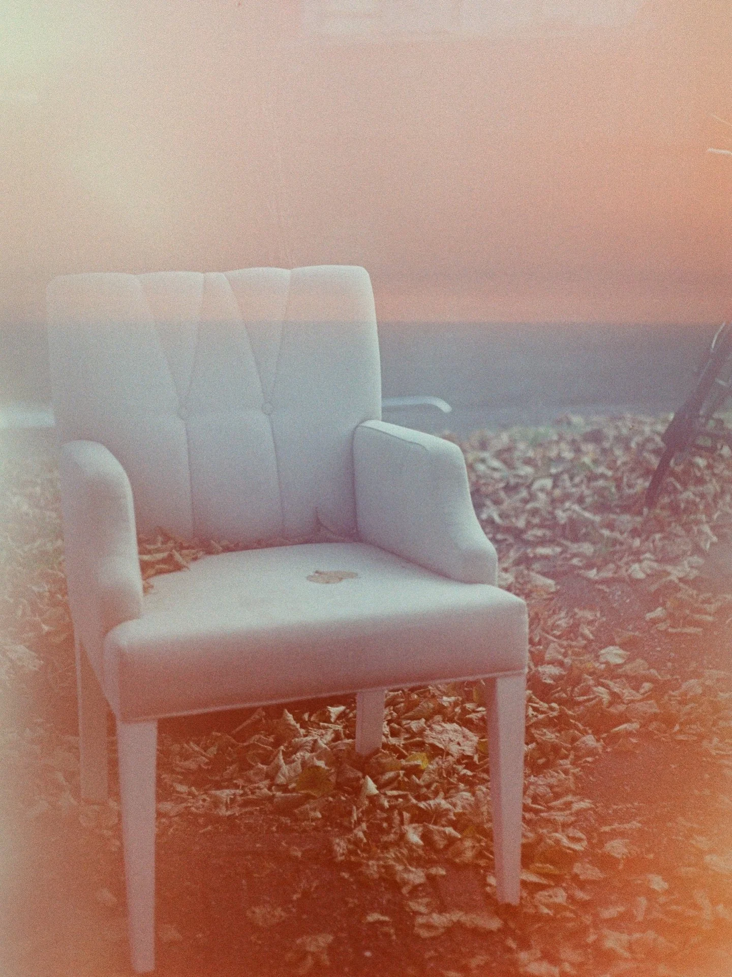 Lighting Accident 

#35mm #yashica #50mm #amsterdam 

Autumn 2025

Dev &amp; Scan @analogue.ams