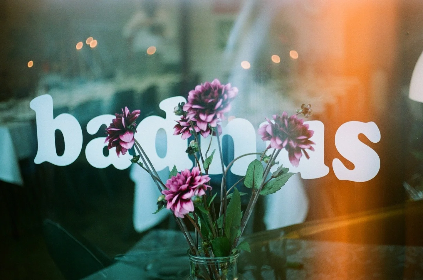 H1stBD @badhus_ams! My ultimate muse.

Dev &amp; scan @analogue.ams 

#expiredfilmclub #yashica #35mmfilm 

May 2025

So glad that you exist! Thankful for my friends that created you and for the absolute joy, abundance, love, stability and so many mo