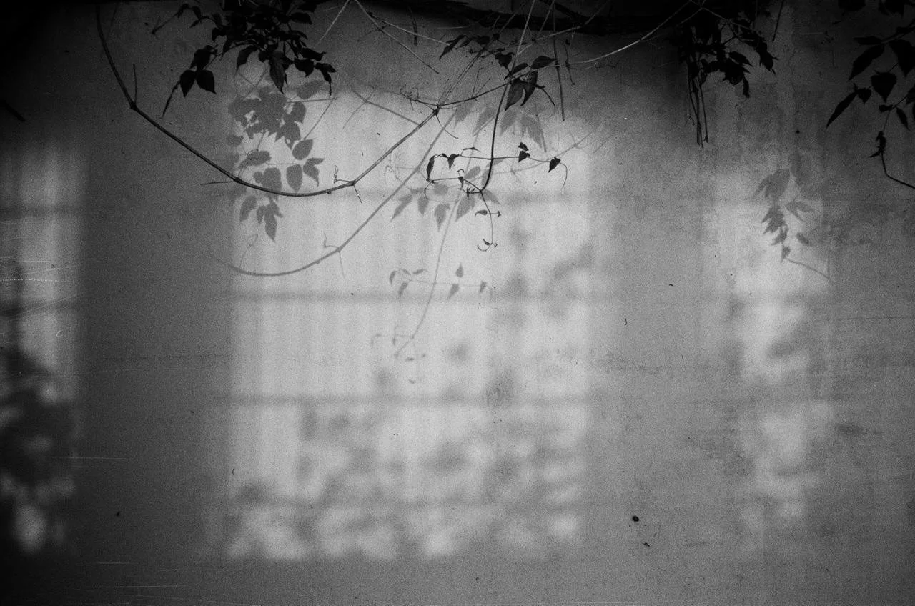 Sombras

#minoltaprod20s #fomapan400 #35mm #blackandwhite #amsterdam 

210526

New gear from @vintarista

Dev &amp; scan @analogue.ams