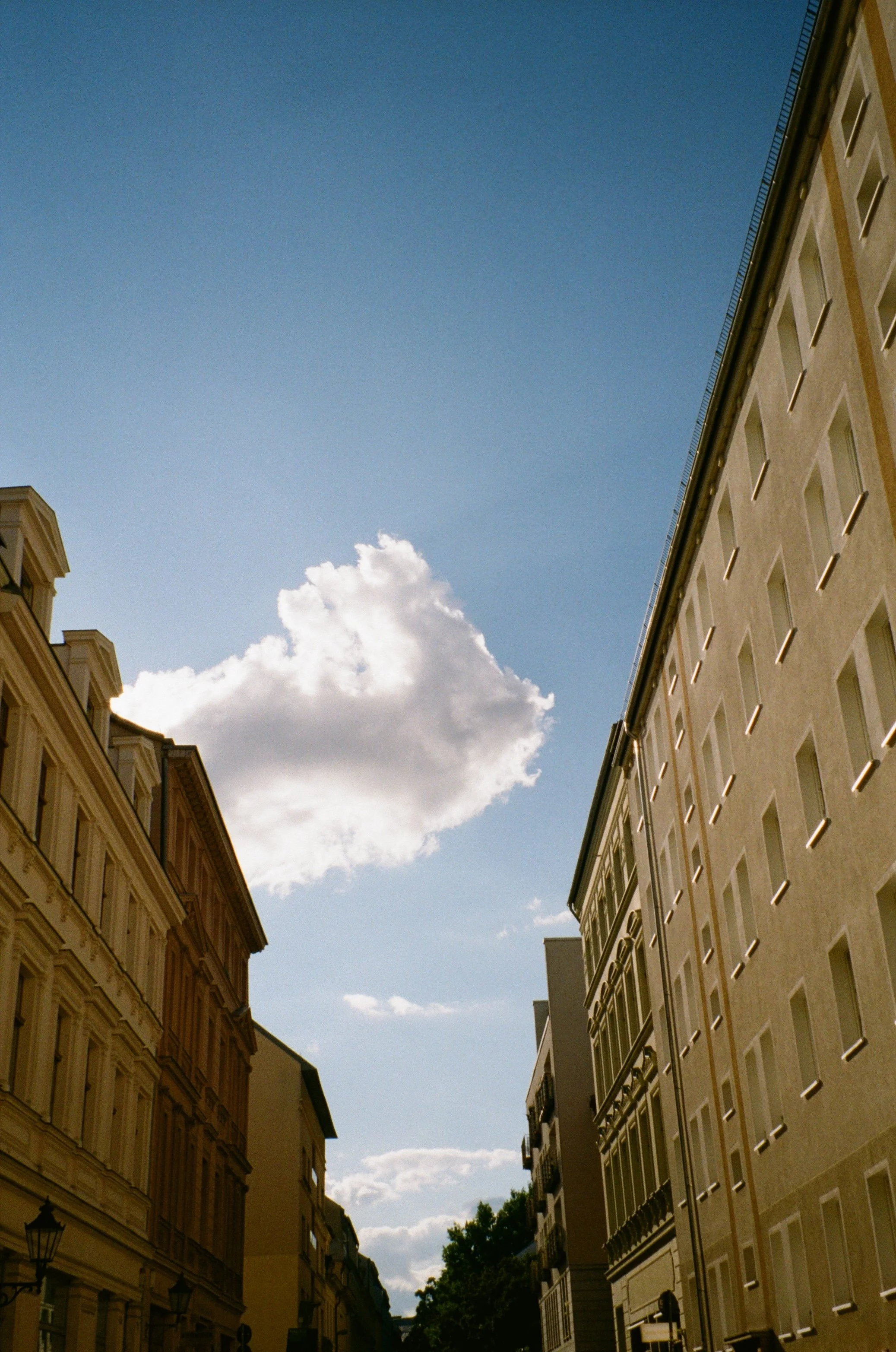 "Nubes"
Berlin, Summer 2024
35mm film
