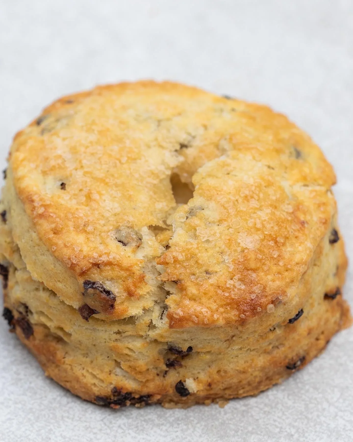 Cream Currant Scone