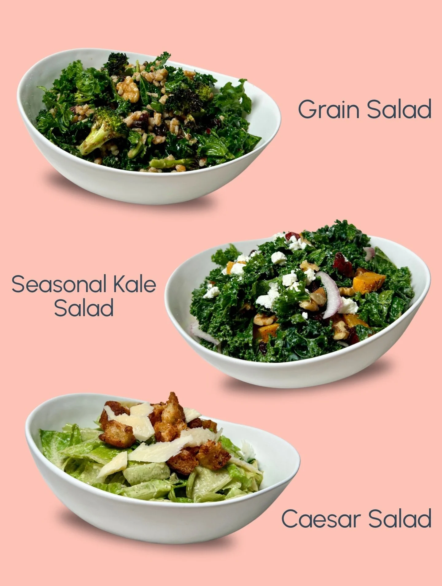 Salads, salads, salads! 🥗 We have three different salad offerings at AKC:

The Grain Salad is a vegan salad centered around the Italian grain farro, an ancient grain with a slightly nutty flavor and delightfully chewy texture. The salad features roa
