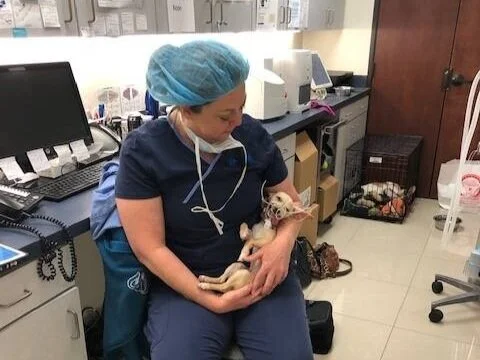 Dr S cradling patient.jpg