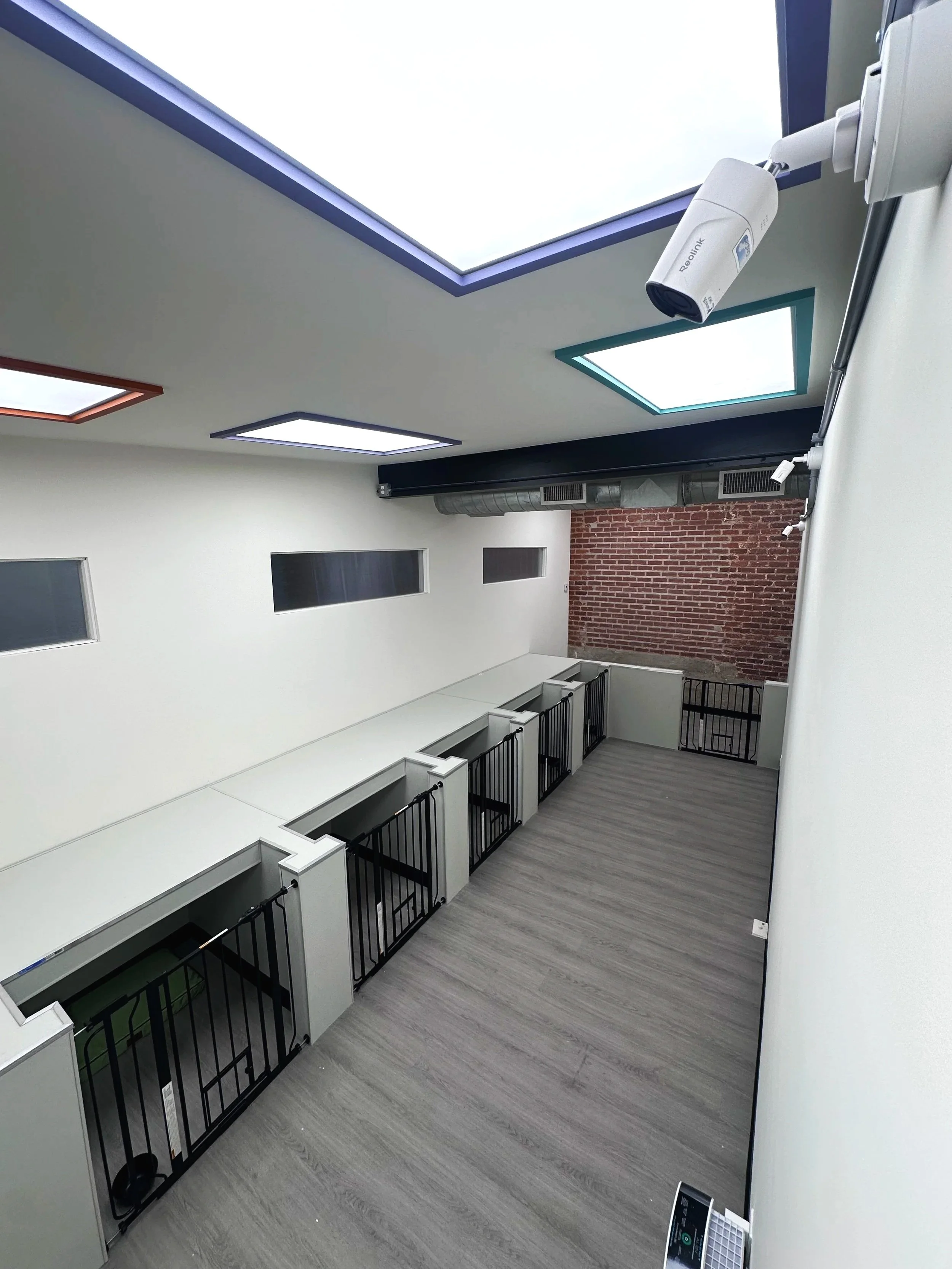 A view from above of a room with large dog kennels and cameras.