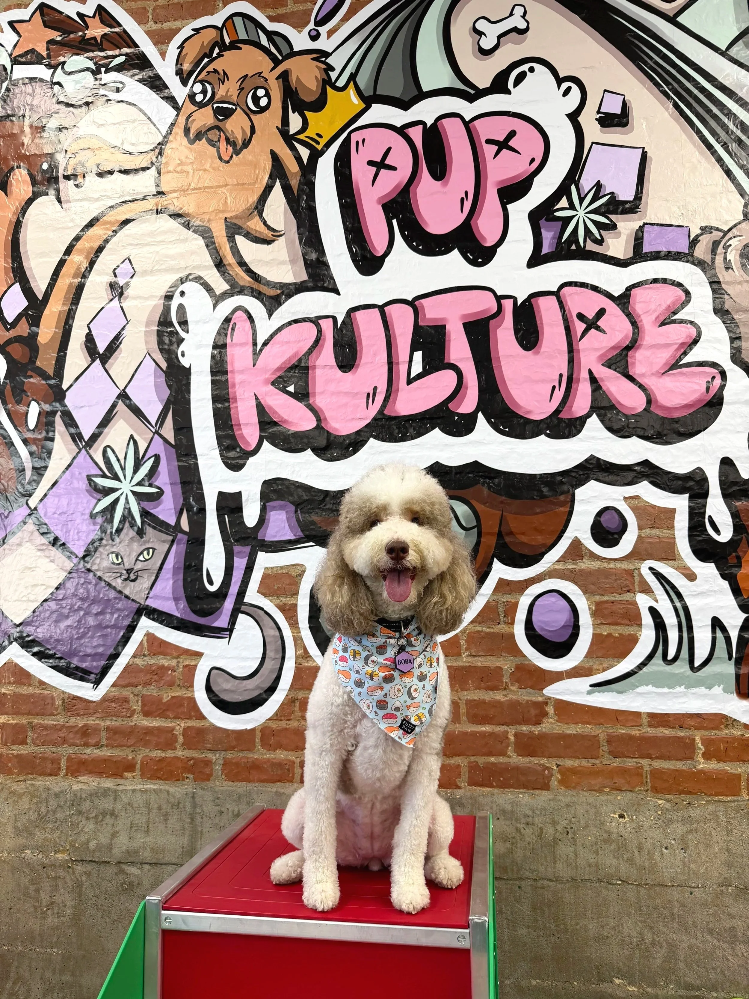A doodle posing in front of a colorful mural.