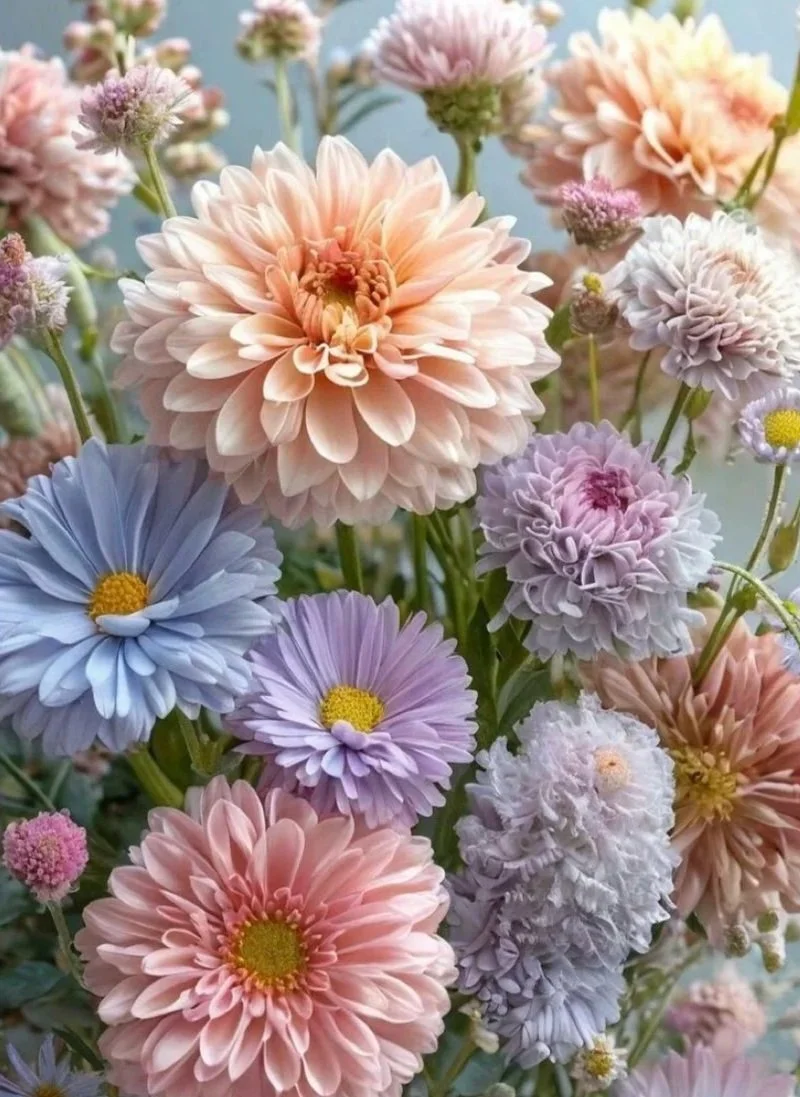 A bouquet of pastel-colored flowers including dahlias and chrysanthemums in shades of peach, purple, blue, and white.