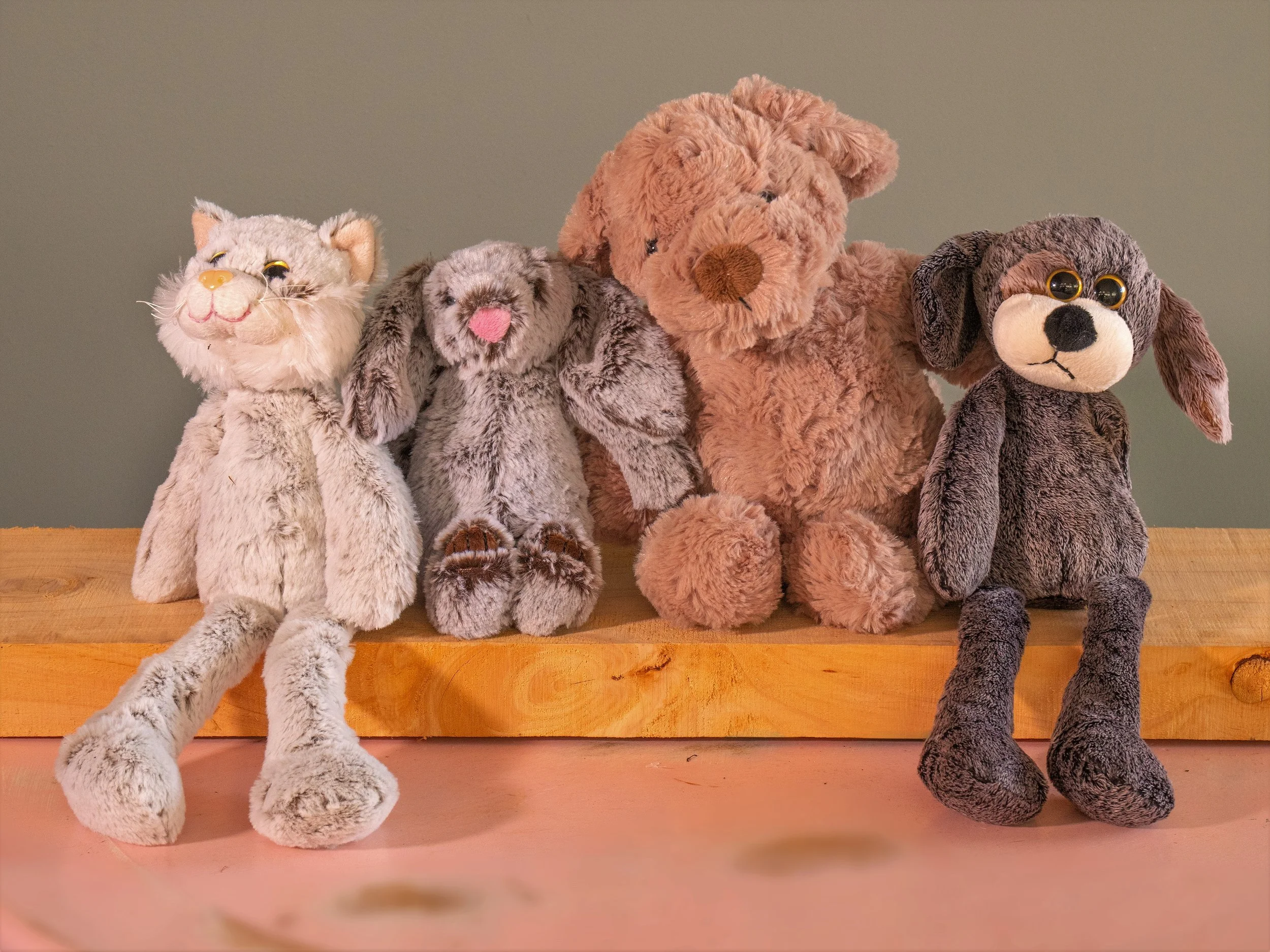 Five plush stuffed animals sitting on a wooden shelf against a plain background, including a cat, a rabbit, a bear, and two dogs. For flower & soft toy deliveries within Central Otago and surrounding areas.