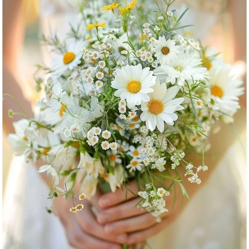 Person holding a bouquet of white daisies and small white and yellow flowers.