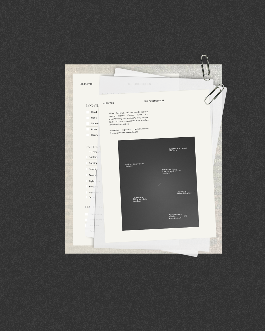 printable therapy workbook.png