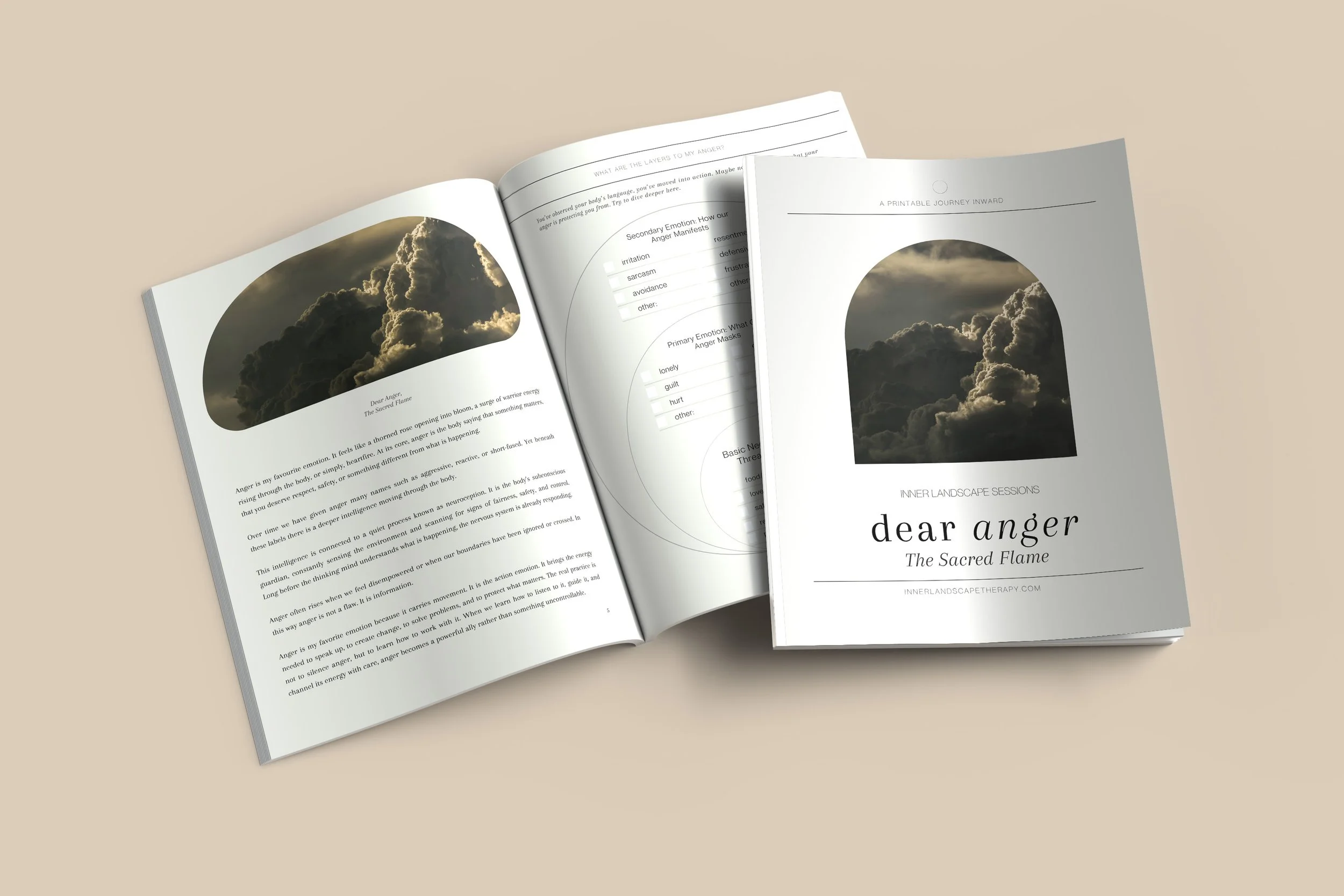 8.5 x 11 Open and Closed Dear Anger.jpg