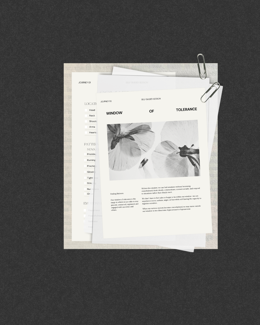 pages in therapy workbook.png